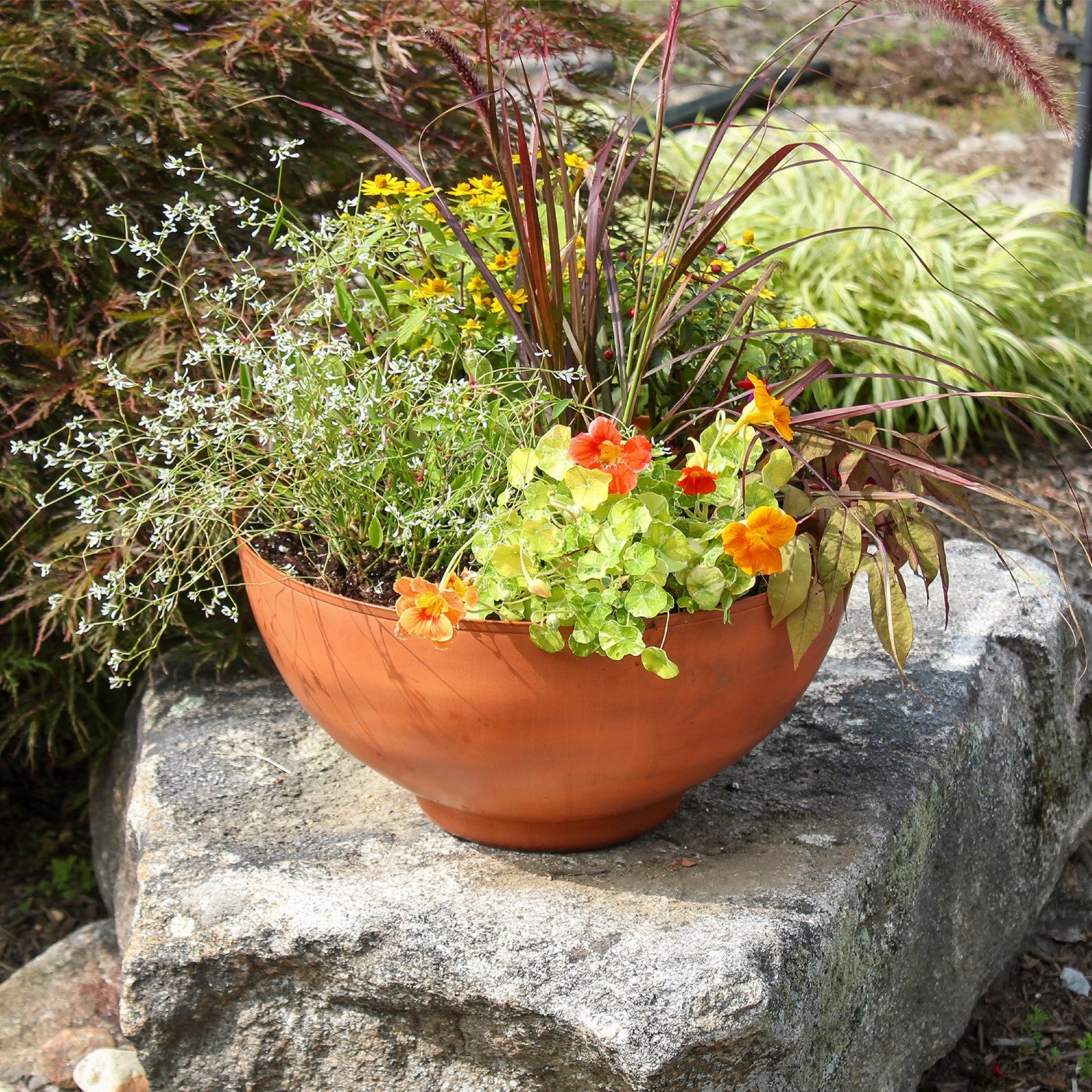 ACHLA Solaria Small Bowl Planter 16in | Burnt Sienna Galvanized Steel and Black Wrought Iron | Indoor & Outdoor Cactus & Succulent | Model C-60BS