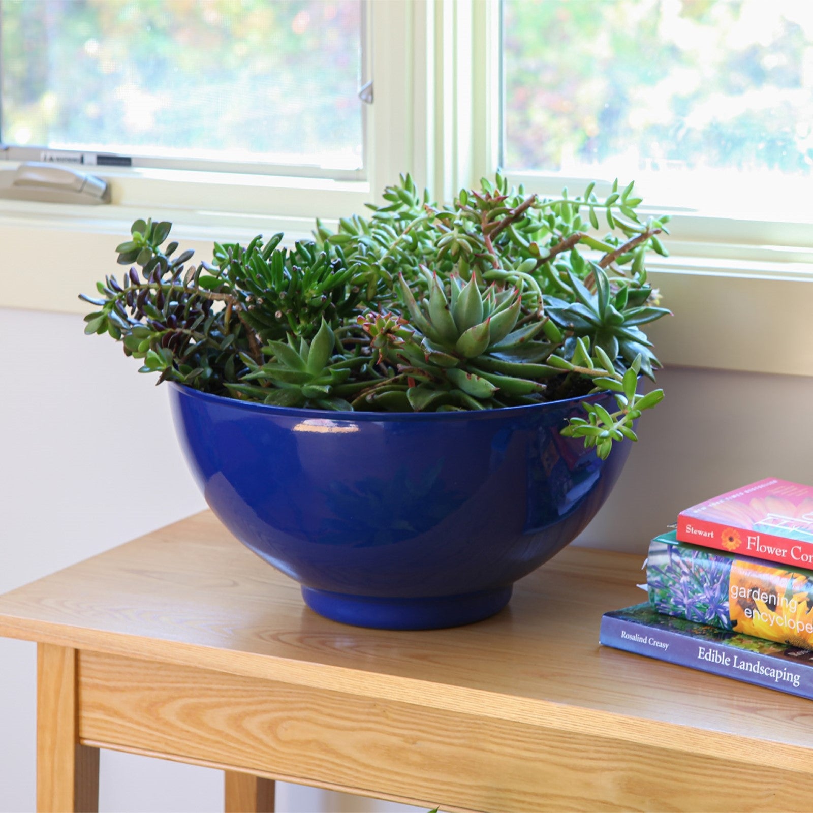ACHLA Solaria Small Bowl Planter | French Blue Galvanized Steel | Indoor & Outdoor Cachepot for Succulents & Fairy Gardens | Model C-60FB
