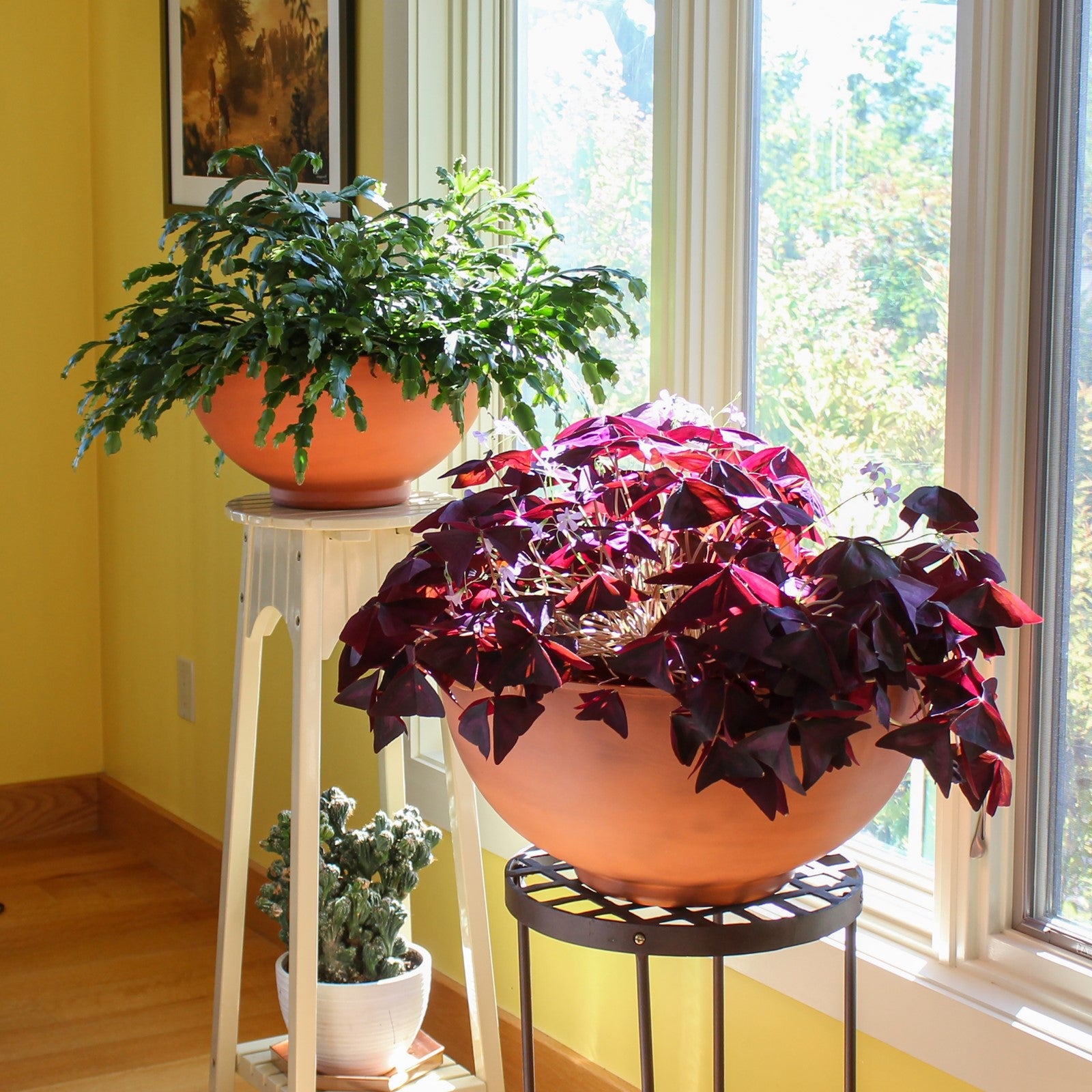 ACHLA Solaria Large Bowl 20in Decorative Bowl | Burnt Sienna Galvanized Steel and Black Wrought Iron | Indoor & Outdoor Planter | Model C-61BS