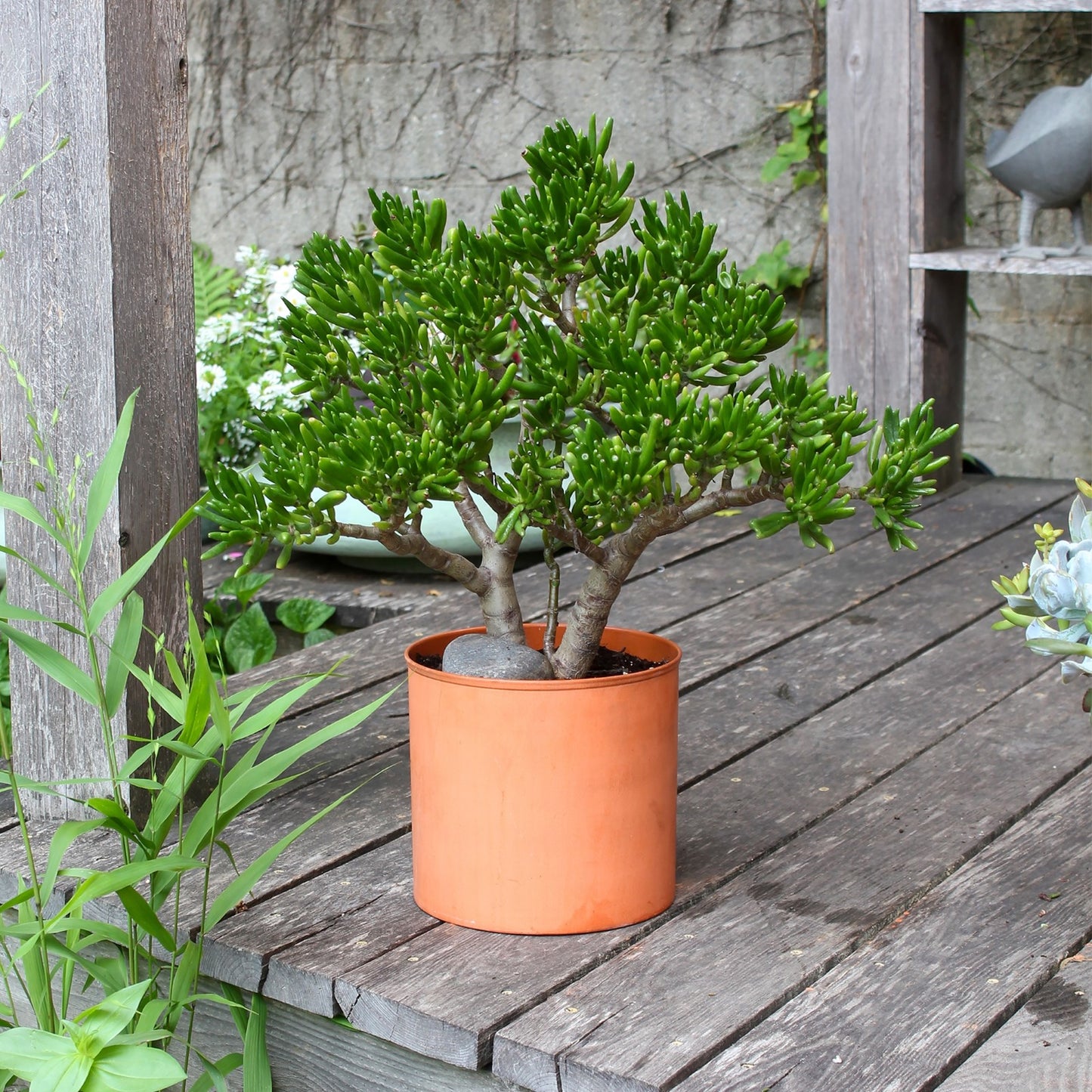 ACHLA Solaria Collection 8in Cylinder Planter | Burnt Sienna Galvanized Steel and Black Wrought Iron | Indoor & Outdoor Cachepot | Model C-62BS