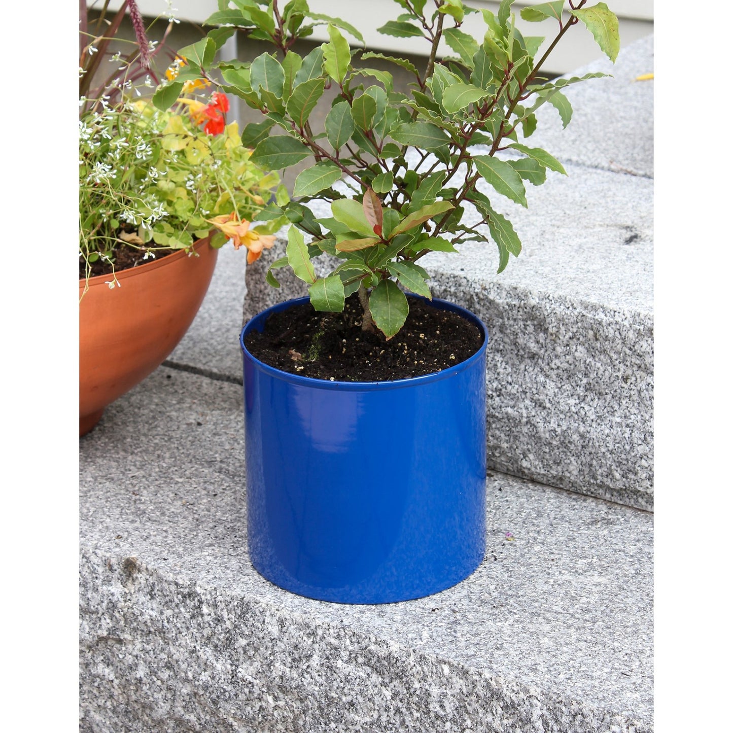 ACHLA Solaria Cylinder Planter 8in | French Blue Galvanized Steel | Indoor & Outdoor Cachepot for Cactus, Orchid, Topiary | Model C-62FB