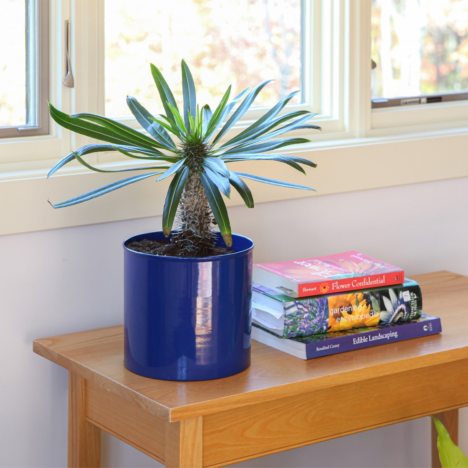 ACHLA Solaria Cylinder Planter 8in | French Blue Galvanized Steel | Indoor & Outdoor Cachepot for Cactus, Orchid, Topiary | Model C-62FB