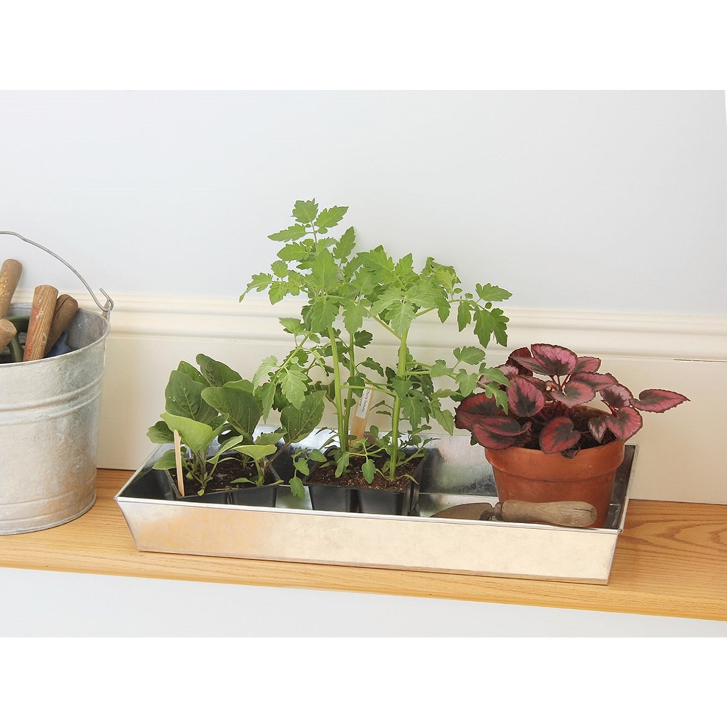 ACHLA Antiqued Tray Large | Galvanized Steel Planter Tray | Indoor Plant & Potting Bench | 24 x 11 x 3 in | Model C-91