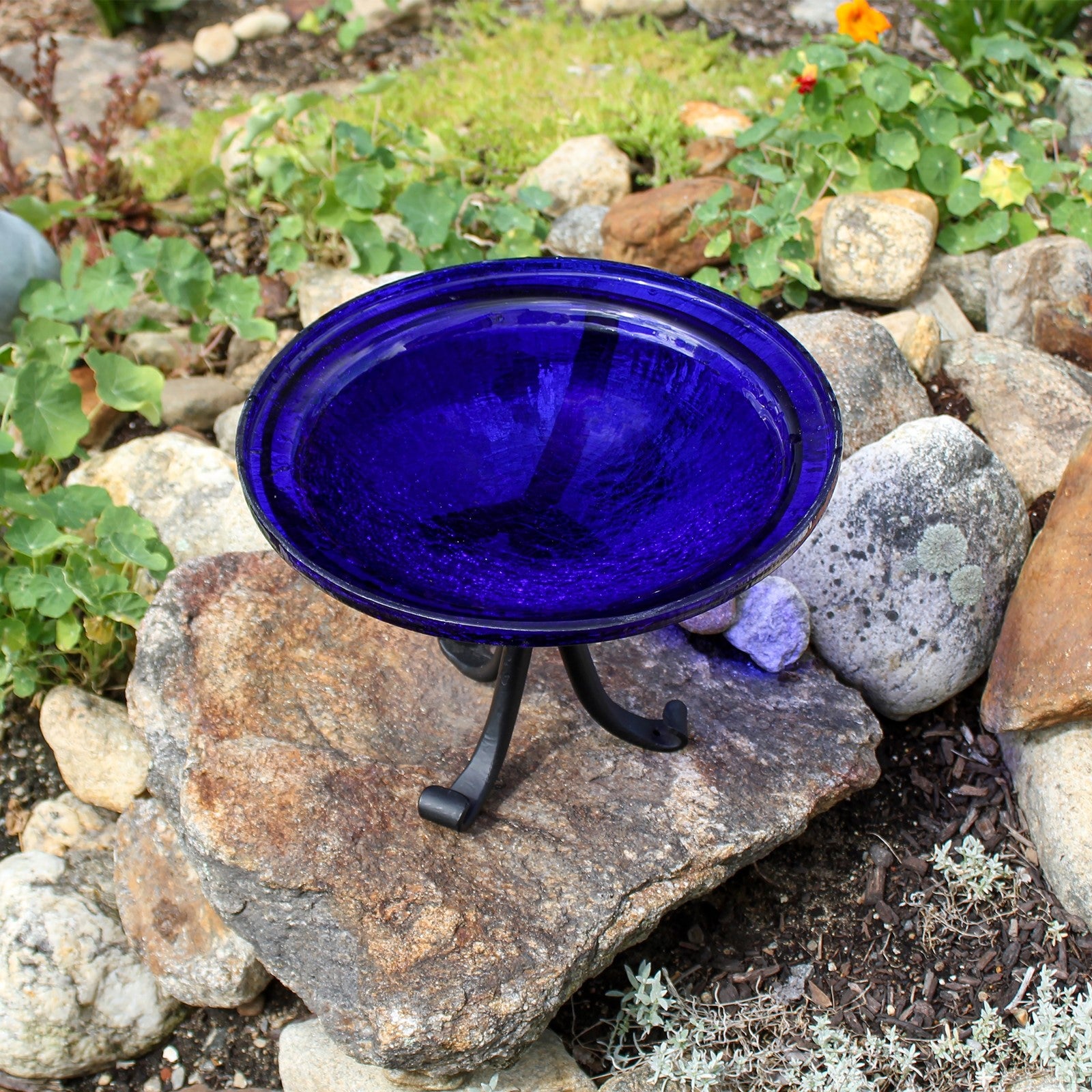 ACHLA 12in Crackle Glass Cobalt Blue Birdbath | Hand-Blown Glass Bowl on Wrought Iron Tripod Stand | Garden & Patio Accent | Model CGB-01CB-TR