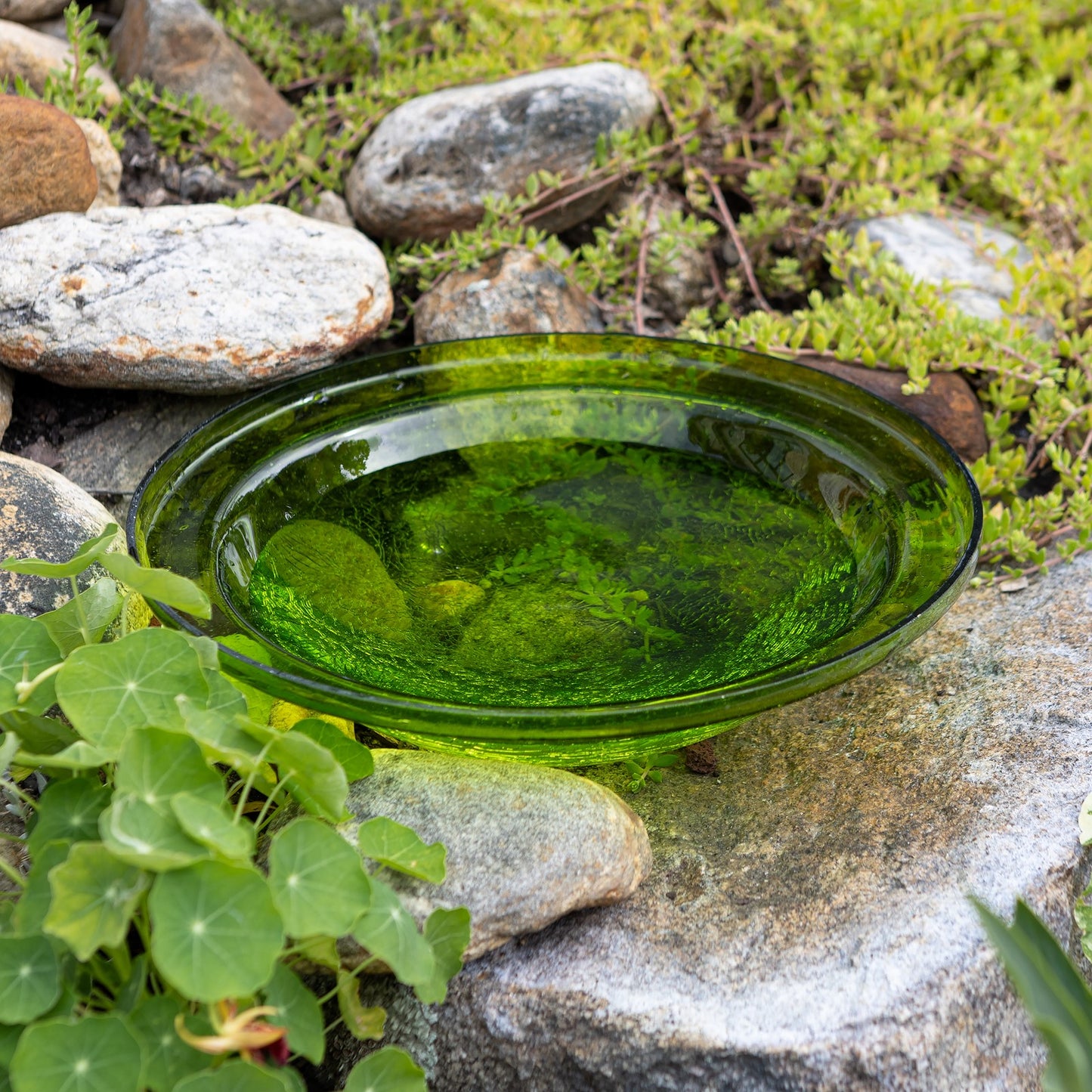 ACHLA Crackle Bowl Fern Green 12in Decorative Glass Bowl | Crackled Glass Garden & Patio Accent | Outdoor & Indoor Table Centerpiece | Model CGB-05FG