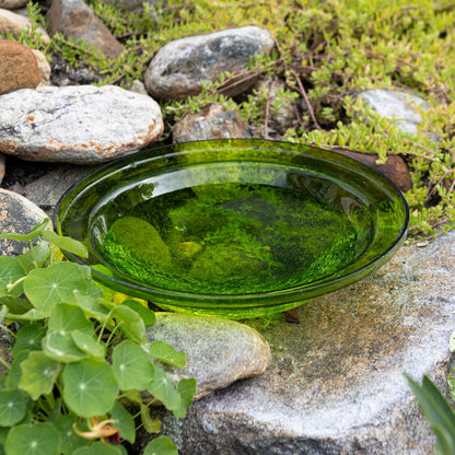 ACHLA Crackle Bowl Fern Green 12in Decorative Glass Bowl | Crackled Glass Garden & Patio Accent | Outdoor & Indoor Table Centerpiece | Model CGB-05FG