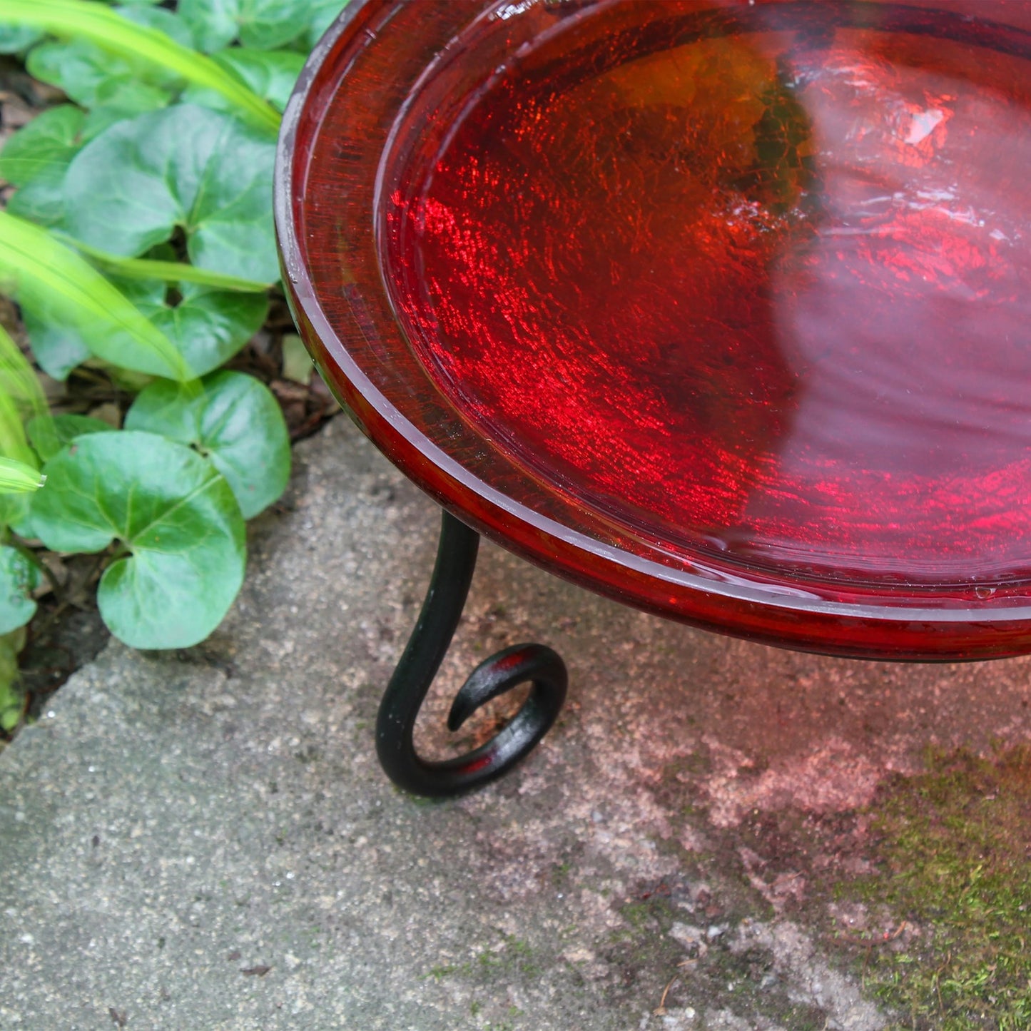 ACHLA 12in Crackle Glass Birdbath with Short Stand | Tomato Red Hand-Blown Glass & Wrought Iron | Garden Patio & Tabletop | Model CGB-09R-S1