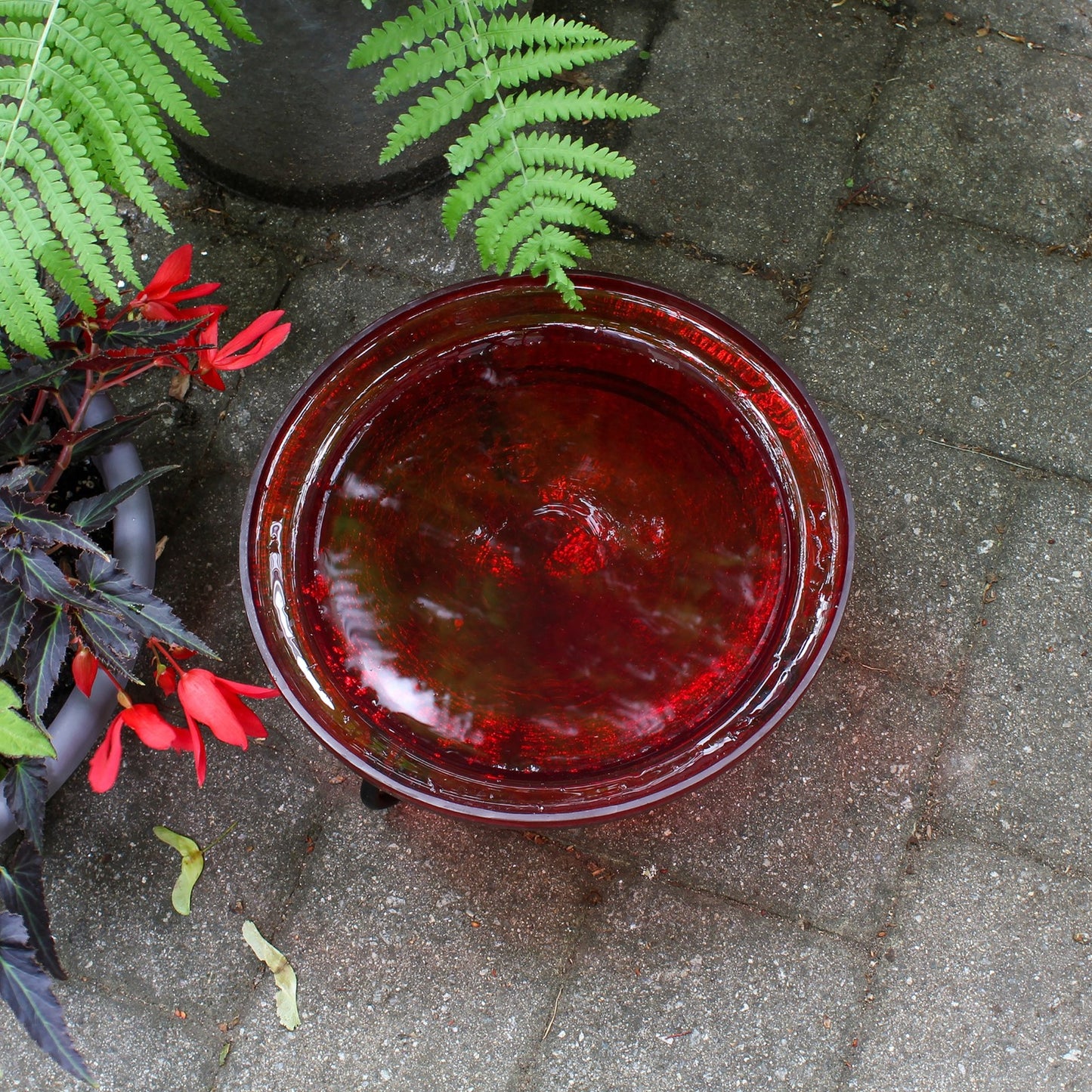 ACHLA 12in Crackle Glass Birdbath with Short Stand | Tomato Red Hand-Blown Glass & Wrought Iron | Garden Patio & Tabletop | Model CGB-09R-S1