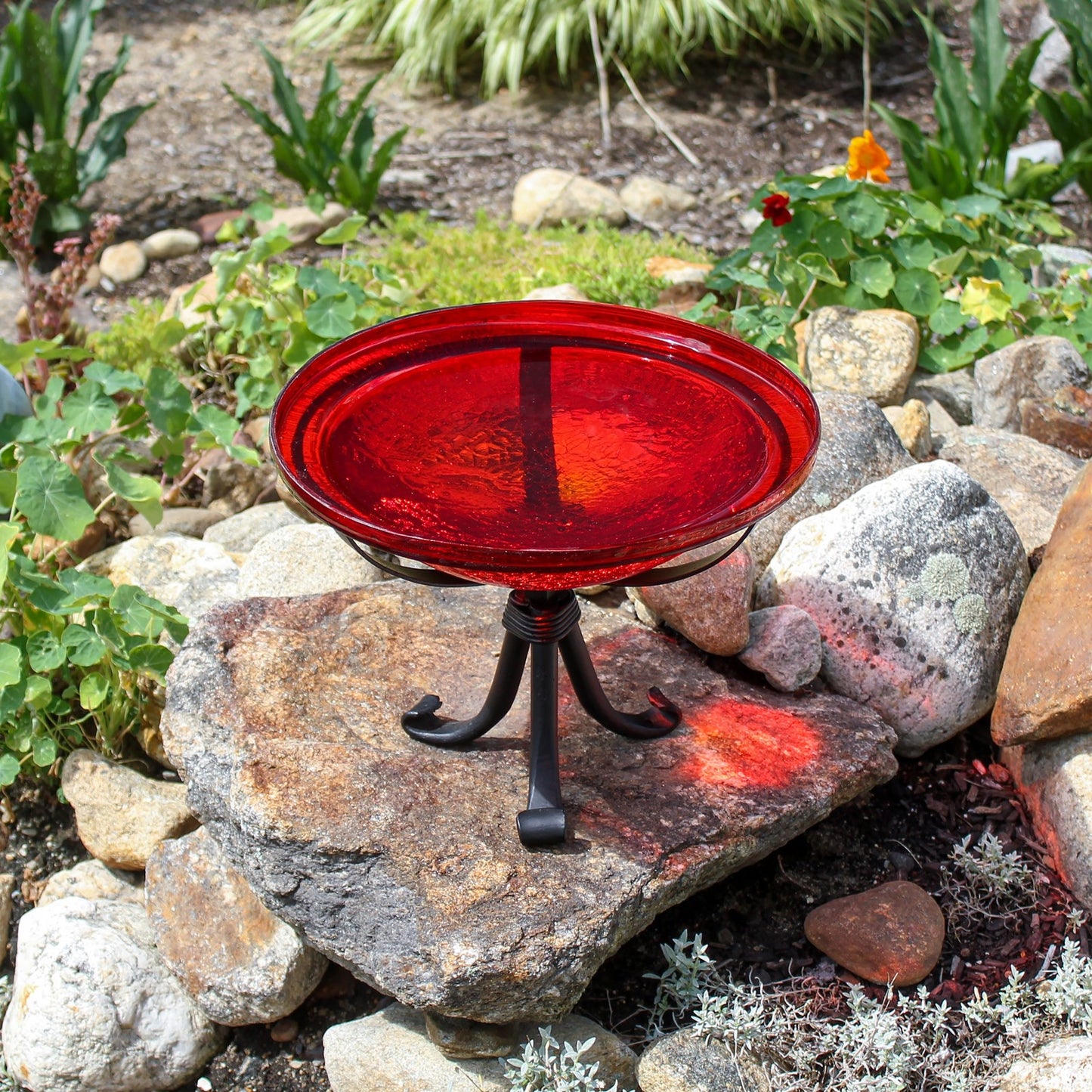 ACHLA 12in Crackle Glass Birdbath with Tripod Stand | Red Hand-Blown Glass and Black Wrought Iron | Garden & Patio Accent | Model CGB-09R-TR