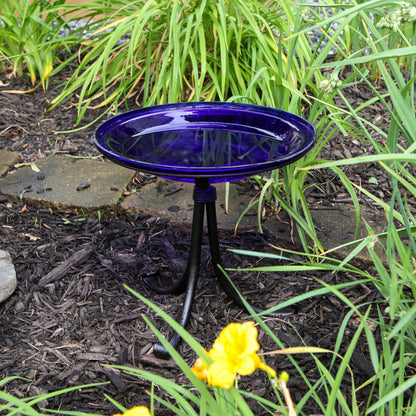 ACHLA Crackle Glass Birdbath with Tripod Stand | Cobalt Blue Glass and Black Wrought Iron | Small Garden & Tabletop Bird Bath | Model CGB-14CB-TR2