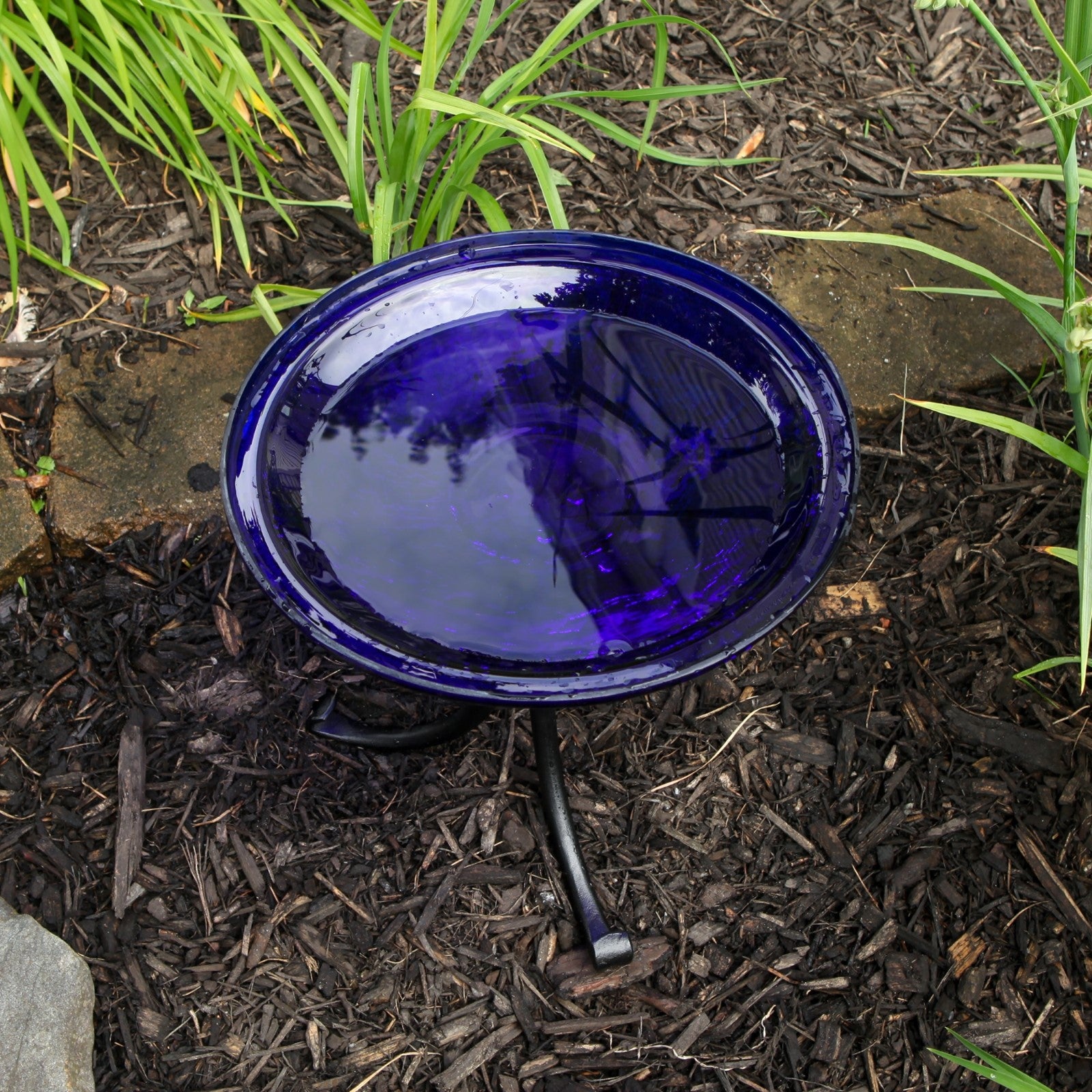 ACHLA Crackle Glass Birdbath with Tripod Stand | Cobalt Blue Glass and Black Wrought Iron | Small Garden & Tabletop Bird Bath | Model CGB-14CB-TR2