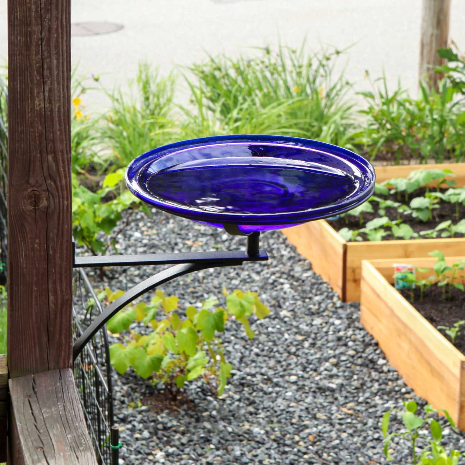 ACHLA Crackle Glass Birdbath with Wall Bracket | Cobalt Blue Hand-Blown Glass and Black Wrought Iron | Porch, Fence & Deck Bird | Model CGB-14CB-WM2