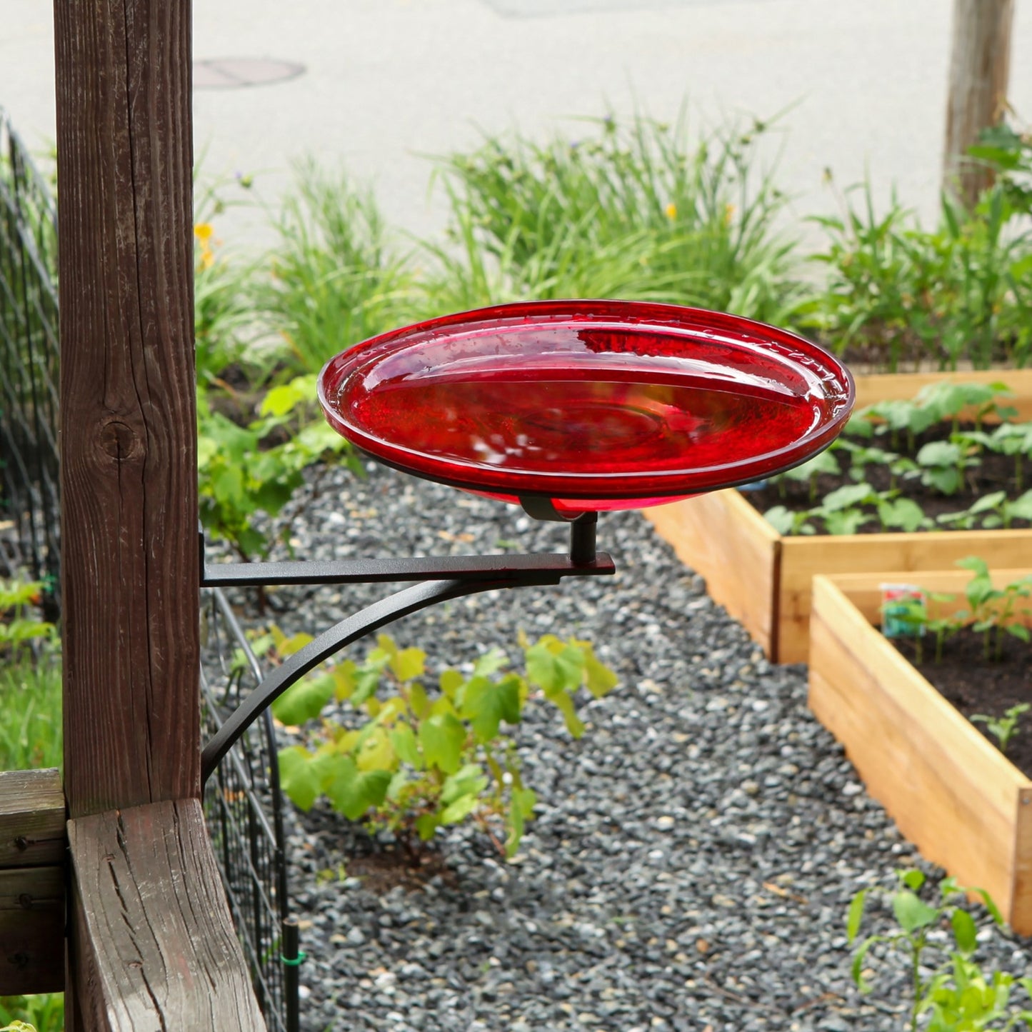 ACHLA Crackle Glass Birdbath Wall Bracket | Red Hand-Blown Glass Bowl on Black Wrought Iron | Porch, Deck & Garden Birdbath | Model CGB-14R-WM2