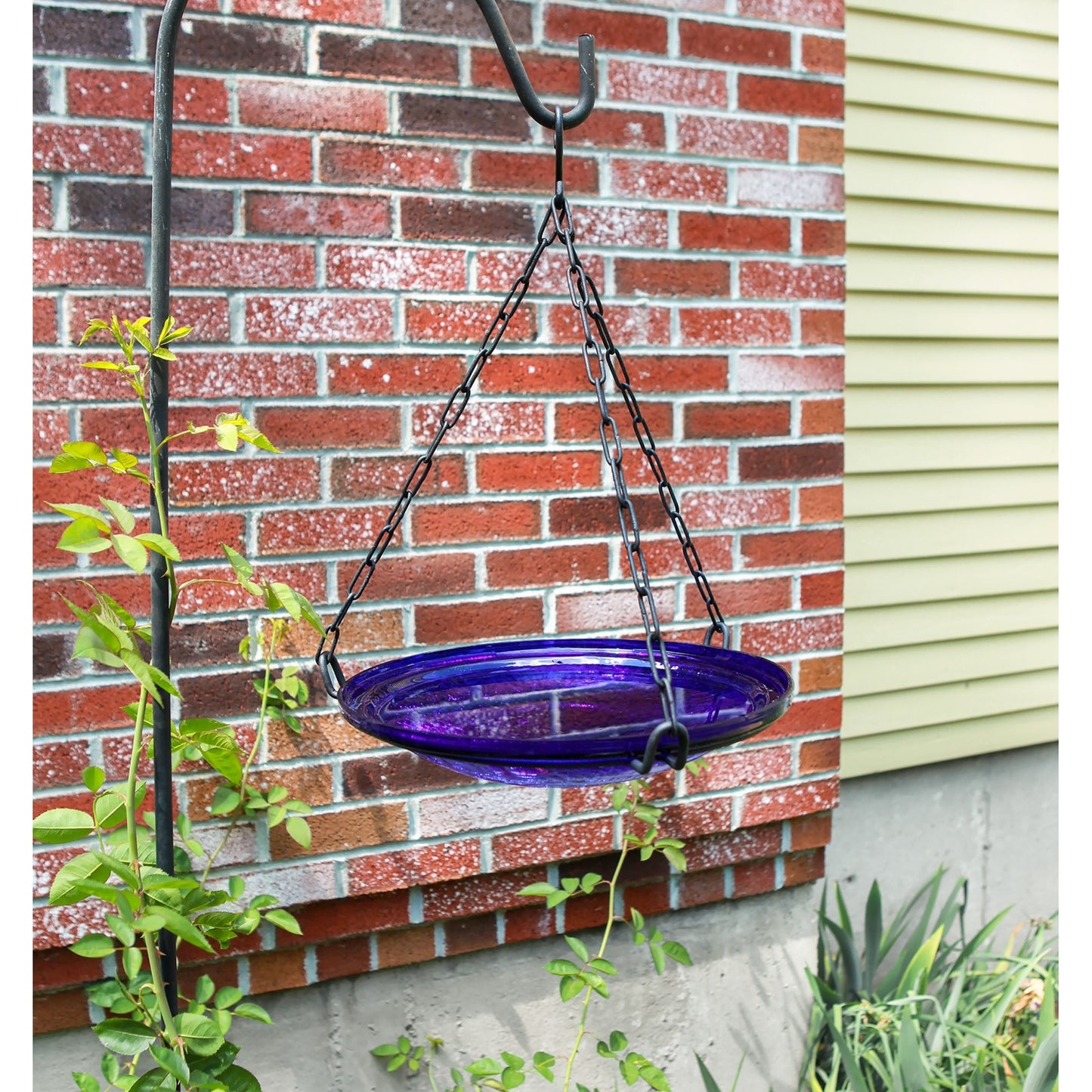 ACHLA Cobalt Blue Crackle Glass Hanging Birdbath Bowl 14in | Handcrafted Art Glass & Wrought Iron Chain | Garden Patio & Backyard | Model CGB-H-14CB