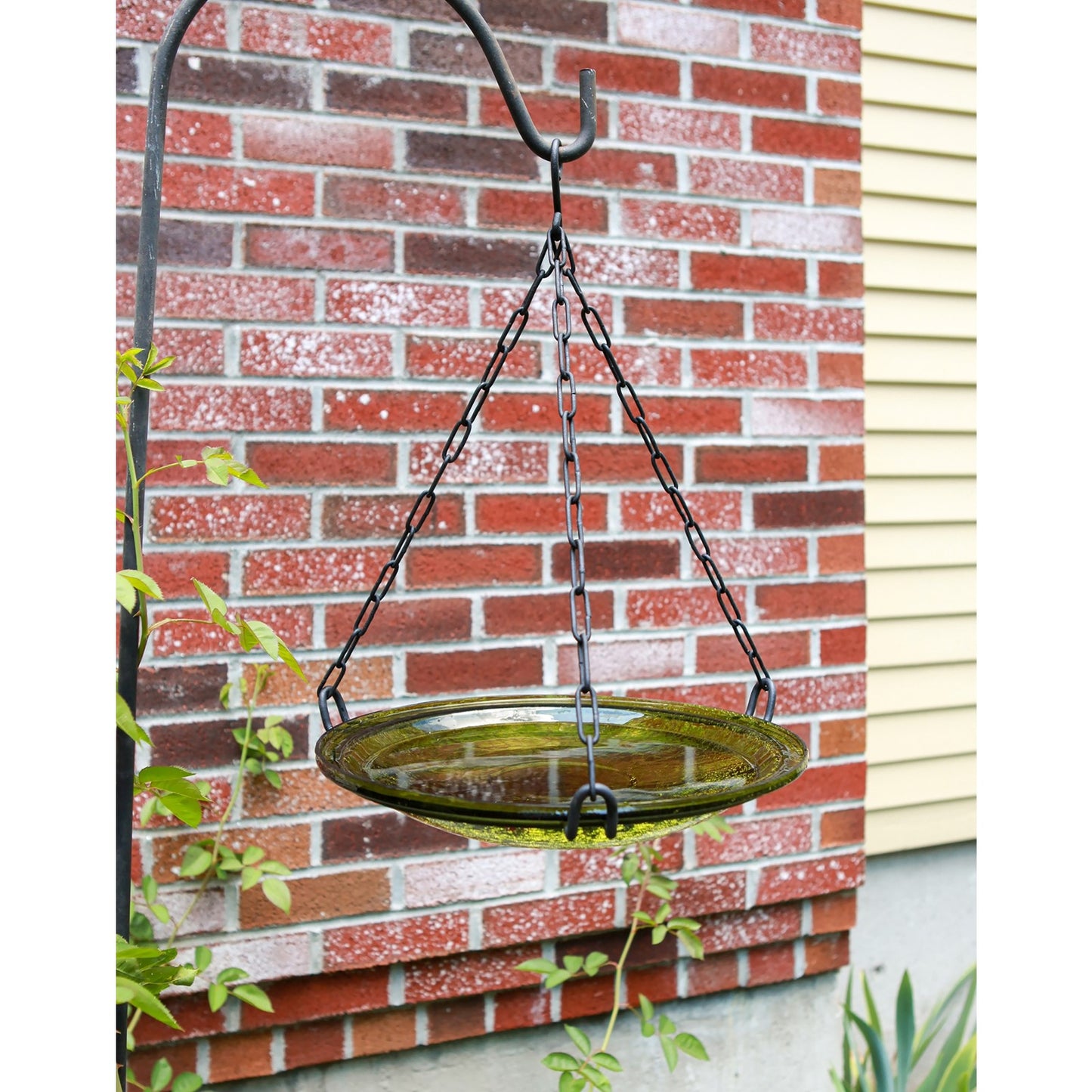 ACHLA Hanging Fern Green Crackle Bowl 14in Decorative Bowl | Outdoor Garden & Patio Birdbath | 13.75 x 13.75 x 2.5-17 in | Model CGB-H-14FG