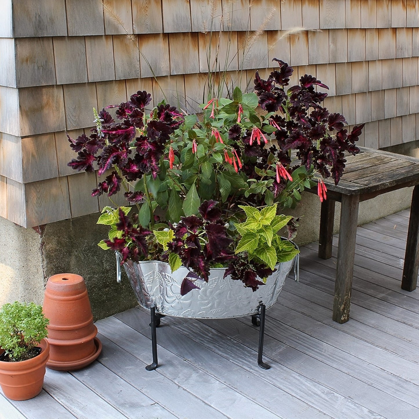 ACHLA Tabletop Stand CWI-01 | Black Wrought Iron Folding Stand | Party & Catering Display | 9 x 9 x 7 in | Model CWI-01