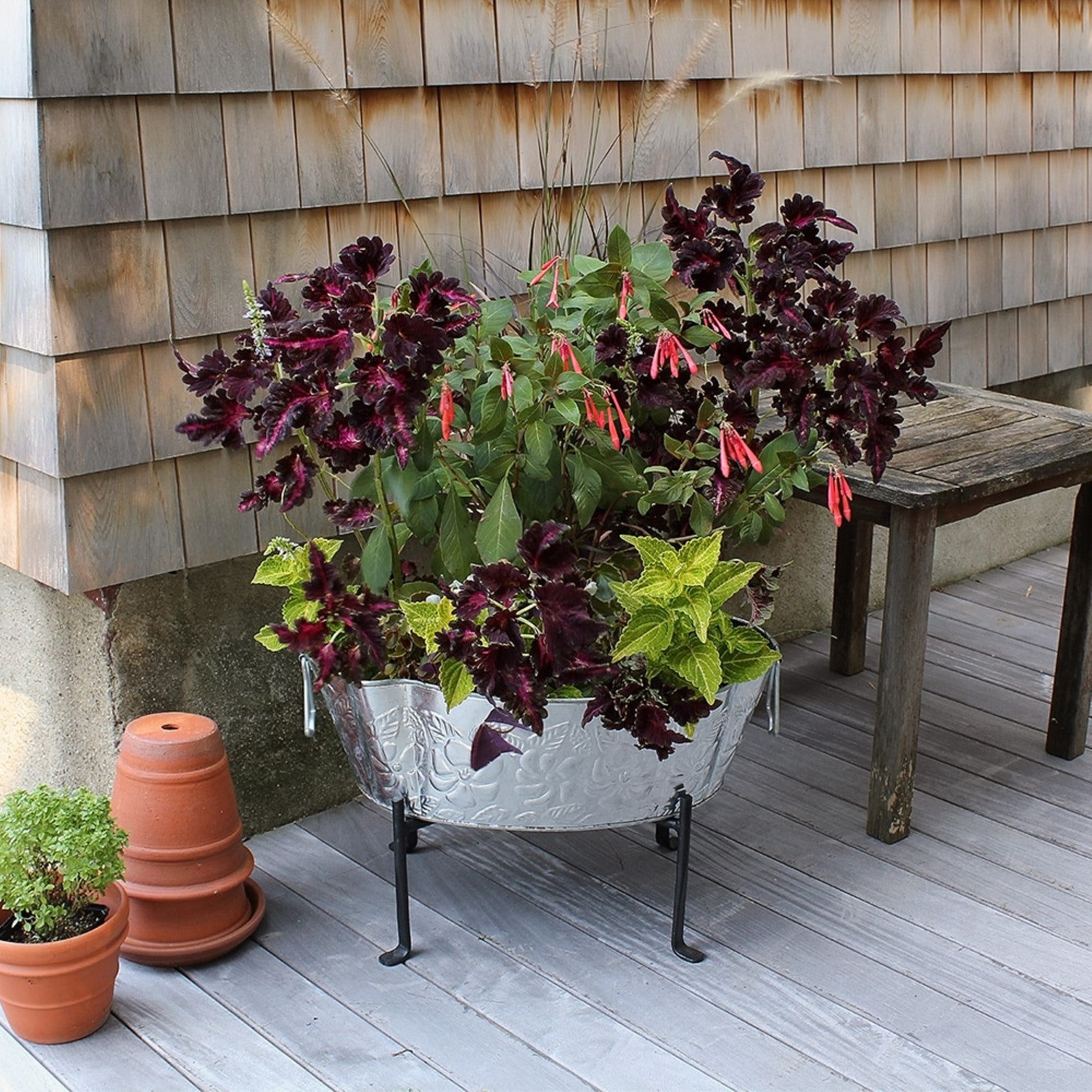 ACHLA Tabletop Stand CWI-01 | Black Wrought Iron Folding Stand | Party & Catering Display | 9 x 9 x 7 in | Model CWI-01