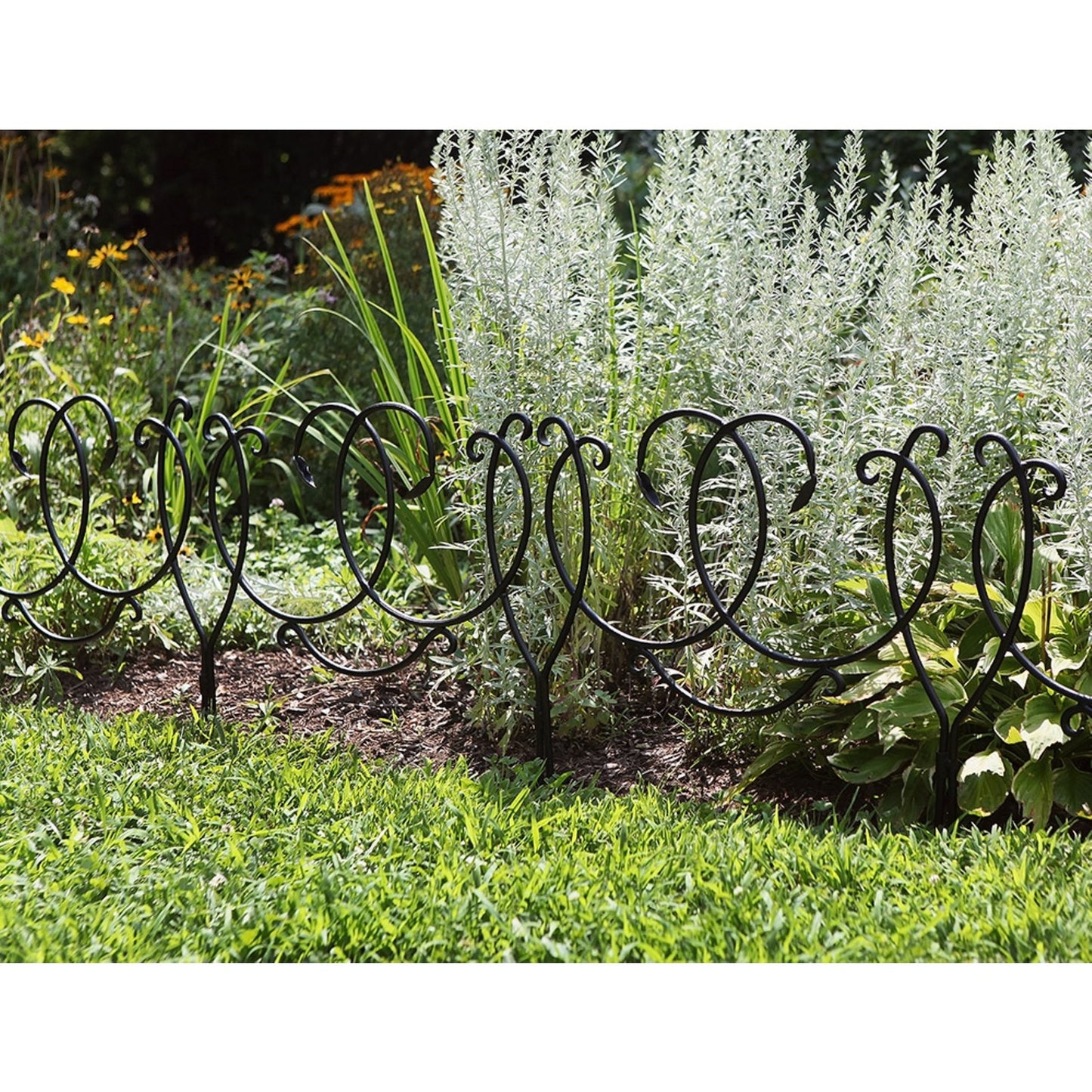 ACHLA Scroll Border Fence Section 4-Pack | Traditional Victorian Wrought Iron | Garden Edging & Flower Bed Border | 24 x 22 in Each | Model DFS-02-4