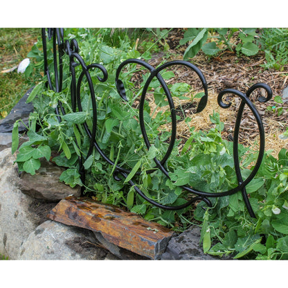 ACHLA Scroll Border Fence Section 4-Pack | Traditional Victorian Wrought Iron | Garden Edging & Flower Bed Border | 24 x 22 in Each | Model DFS-02-4