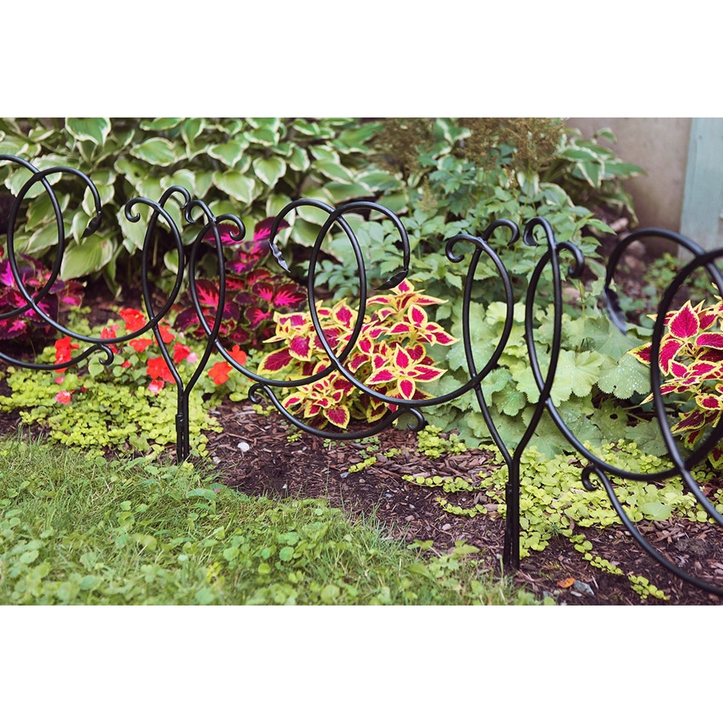 ACHLA Scroll Border Fence Section 4-Pack | Traditional Victorian Wrought Iron | Garden Edging & Flower Bed Border | 24 x 22 in Each | Model DFS-02-4