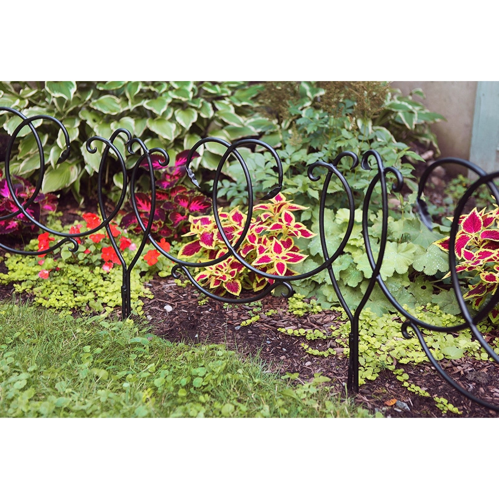 ACHLA Scroll Border Fence Section 4-Pack | Traditional Victorian Wrought Iron | Garden Edging & Flower Bed Border | 24 x 22 in Each | Model DFS-02-4