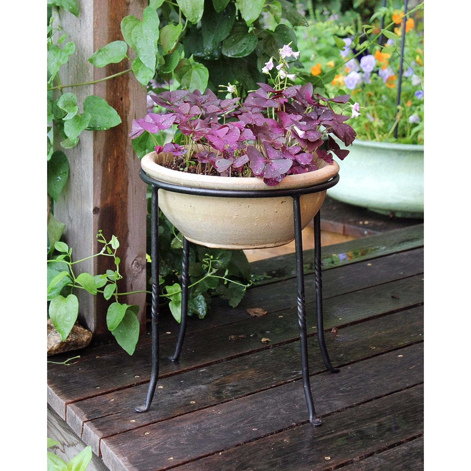 ACHLA Ring Stand 12in Round Plant Stand | Black Wrought Iron | Patio, Deck & Indoor Plant Display | 12 x 12 x 14 in | Model FB-14
