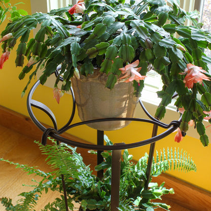 ACHLA Tulip Plant Stand | Roman Bronze Wrought Iron | Patio & Indoor Plant Display | 15.5 x 15.5 x 28 in | Model FB-20