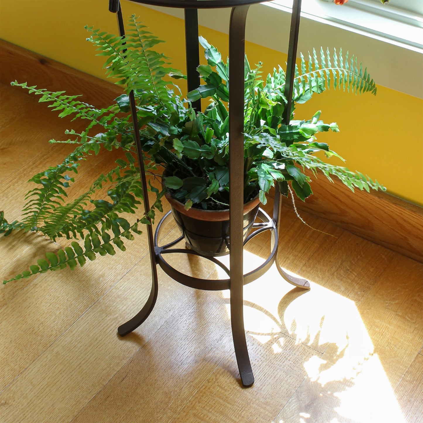 ACHLA Tulip Plant Stand | Roman Bronze Wrought Iron | Patio & Indoor Plant Display | 15.5 x 15.5 x 28 in | Model FB-20