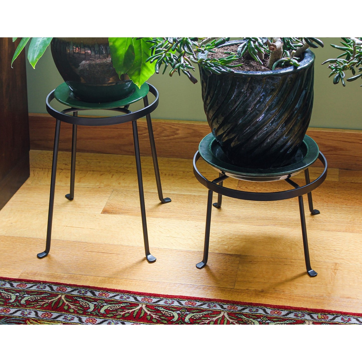 ACHLA Argyle Plant Stand I 8in | Wrought Iron Graphite Powder Coat | Indoor & Outdoor Plant Display | 15 x 15 x 9 in | Model FB-30