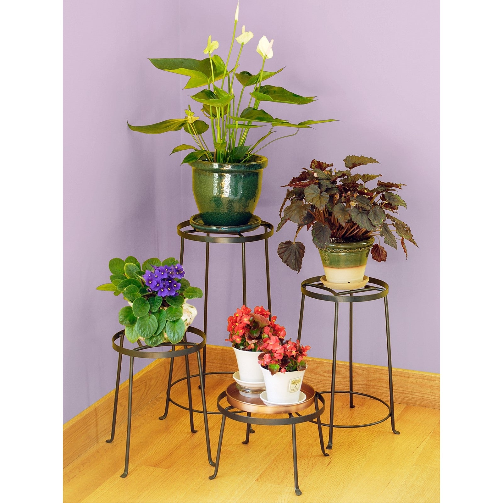 ACHLA Argyle Plant Stand I 8in | Wrought Iron Graphite Powder Coat | Indoor & Outdoor Plant Display | 15 x 15 x 9 in | Model FB-30
