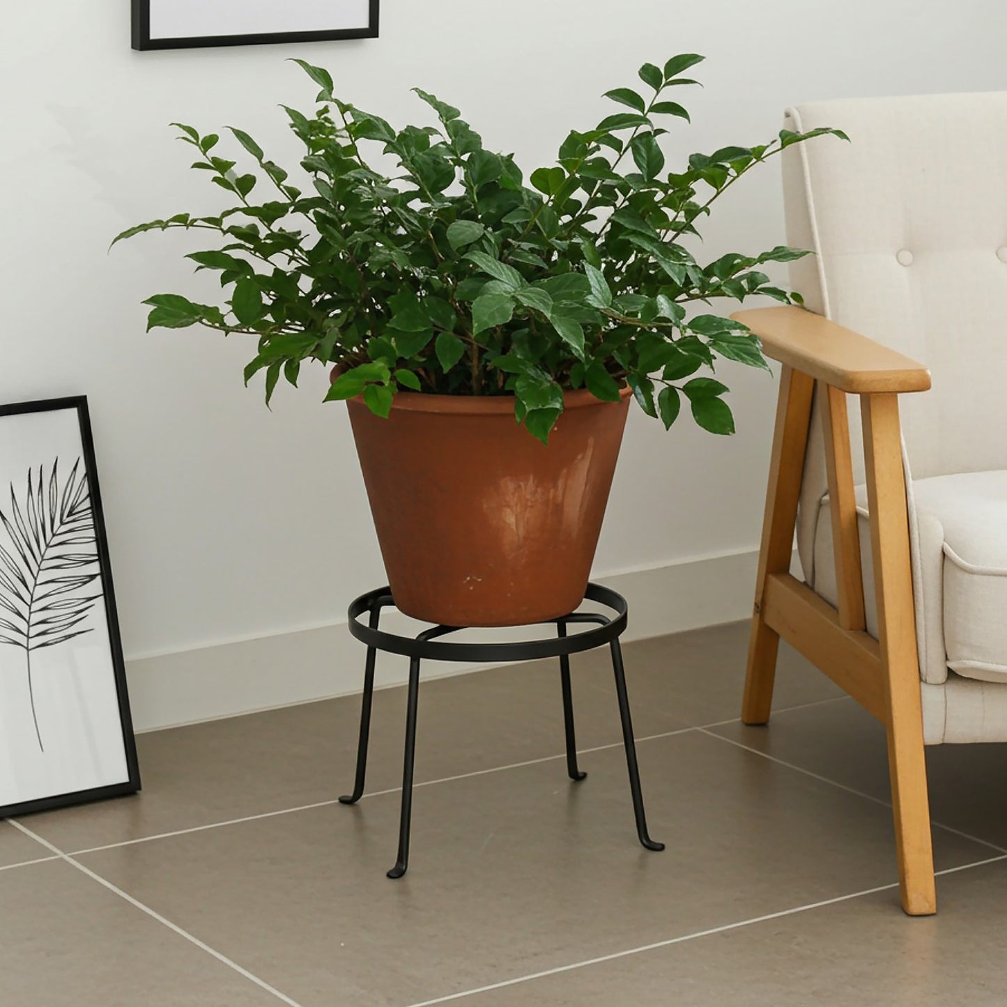 ACHLA Argyle Plant Stand I 8in | Wrought Iron Graphite Powder Coat | Indoor & Outdoor Plant Display | 15 x 15 x 9 in | Model FB-30