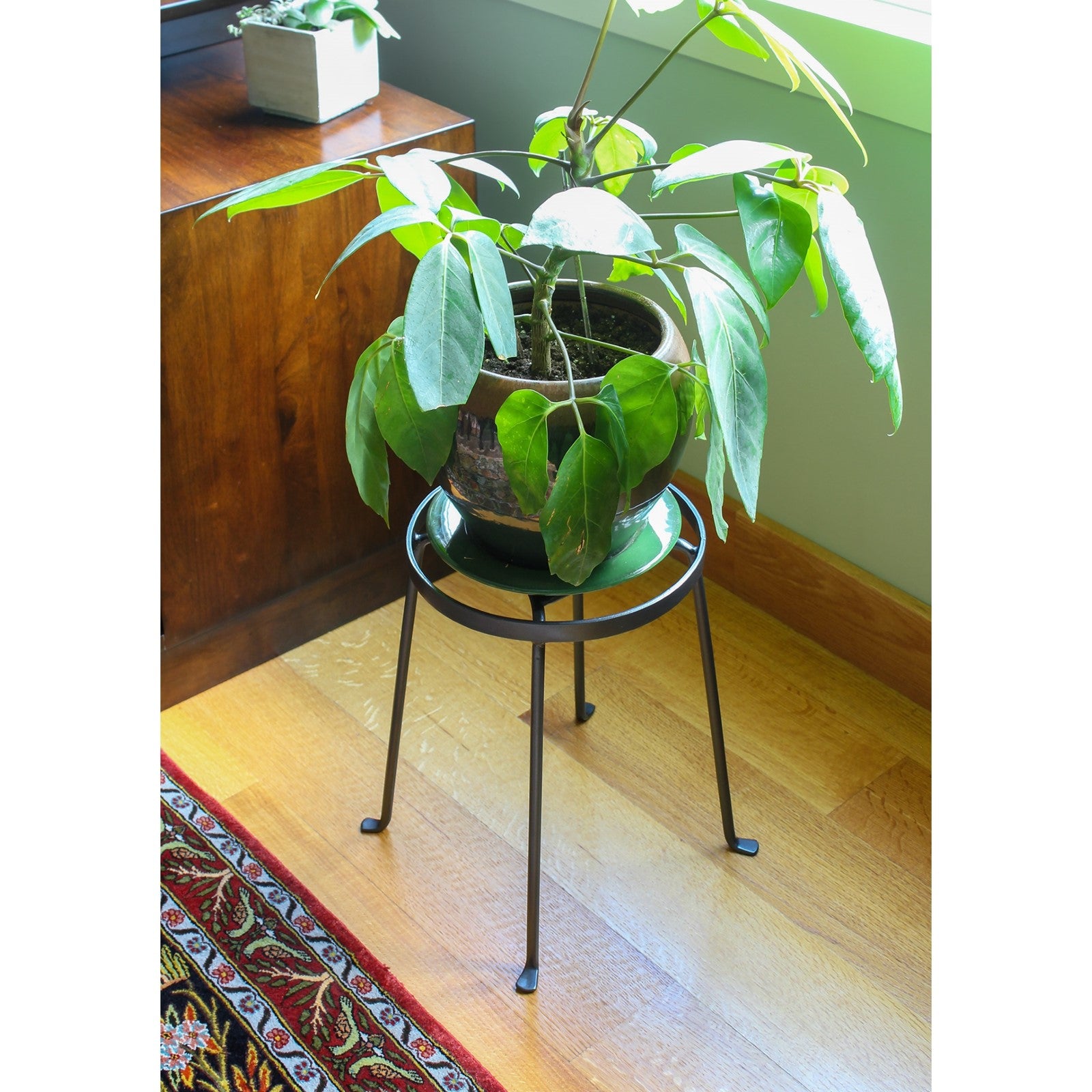 ACHLA Argyle Plant Stand II 14in | Wrought Iron Graphite Powder Coat | Indoor & Outdoor Patio Display | 10.5-15in Dia x 14in H | Model FB-31