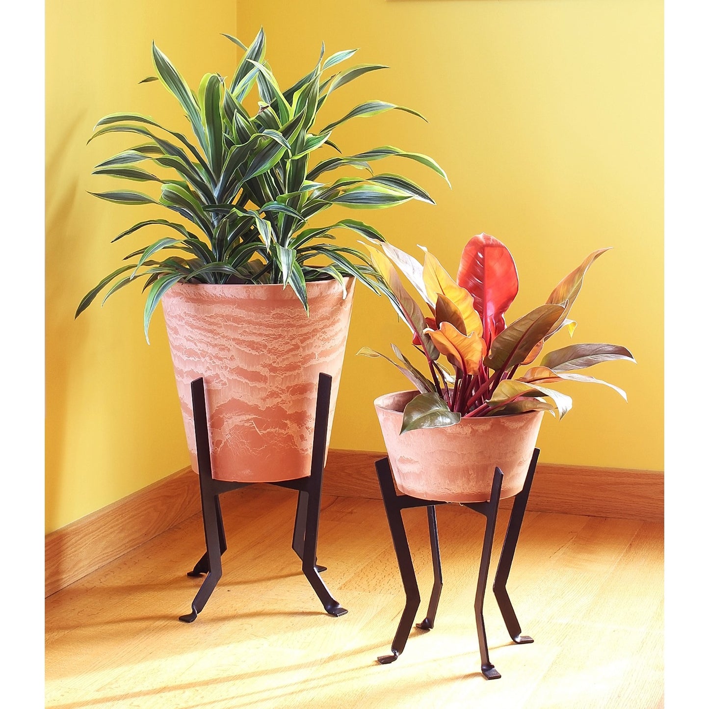 ACHLA Denise II 14in Plant Stand | Black Wrought Iron | Patio & Sunroom Plant Display | 14 x 14 x 14 in | Model FB-58