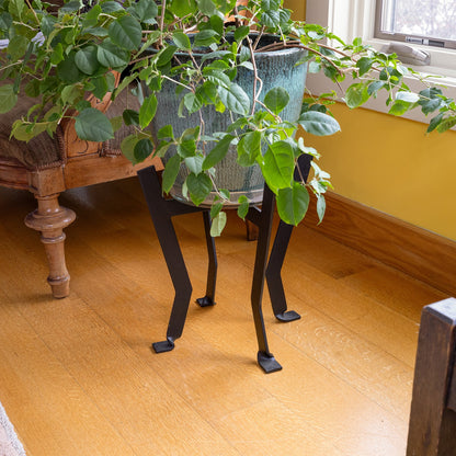 ACHLA Denise II 14in Plant Stand | Black Wrought Iron | Patio & Sunroom Plant Display | 14 x 14 x 14 in | Model FB-58