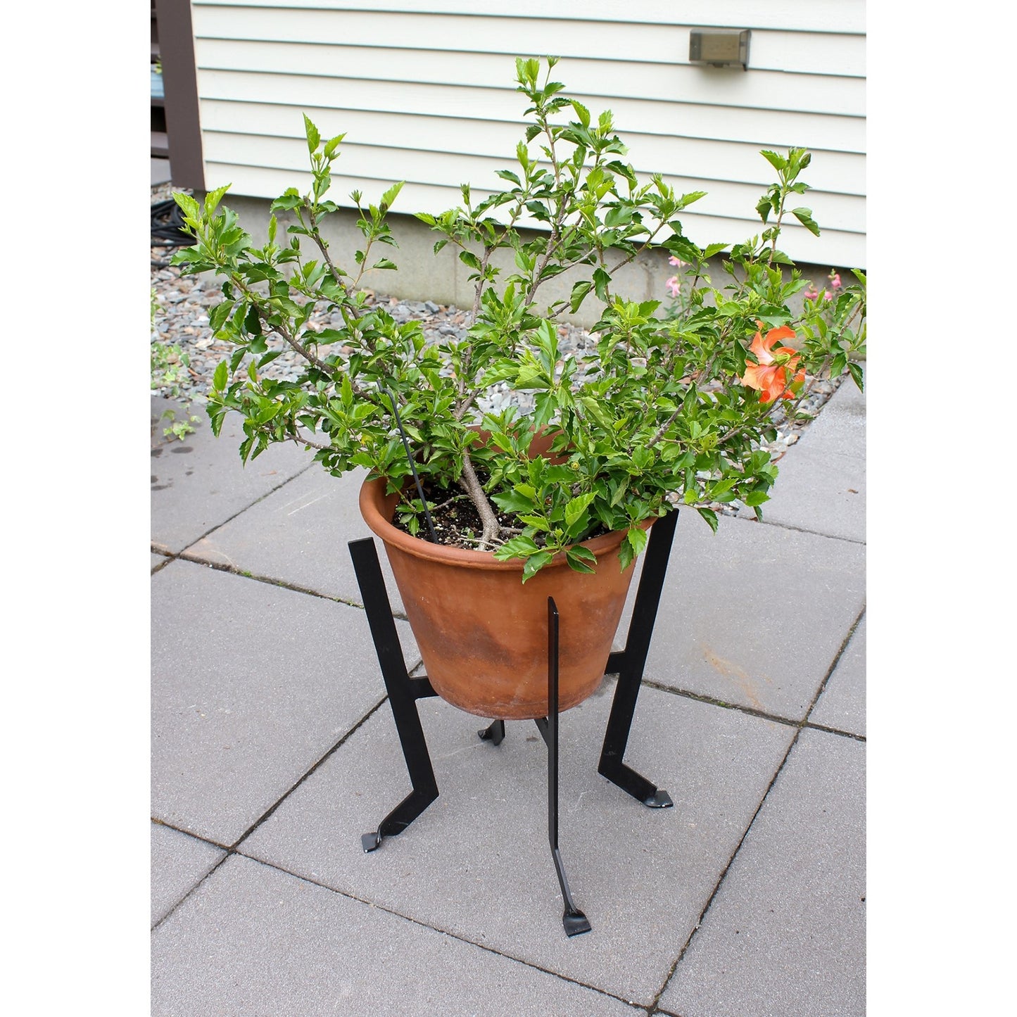 ACHLA Denise III 18in Plant Stand | Black Wrought Iron | Patio & Living Room Plant Display | 12 x 12 x 18 in | Model FB-60