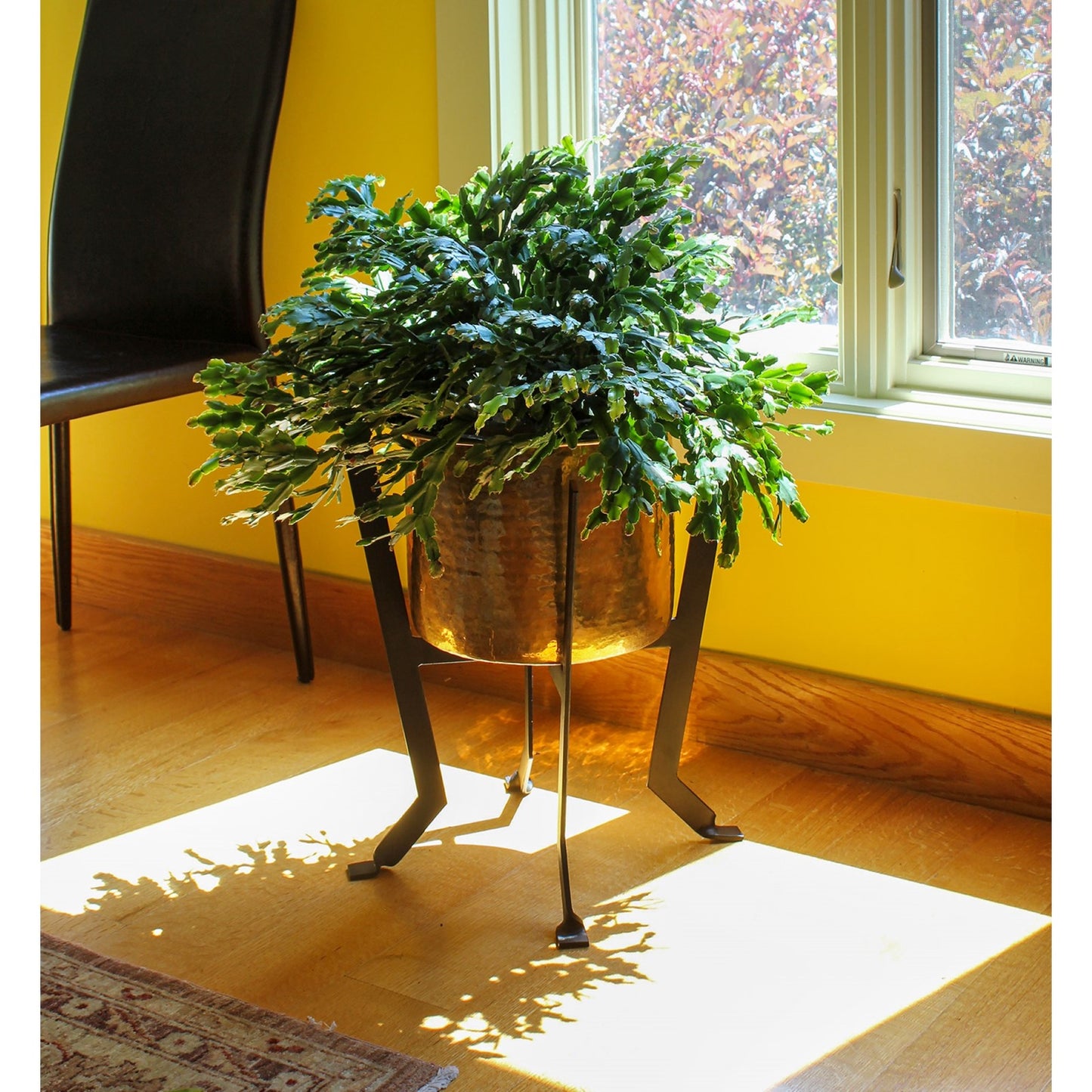 ACHLA Denise III 18in Plant Stand | Black Wrought Iron | Patio & Living Room Plant Display | 12 x 12 x 18 in | Model FB-60