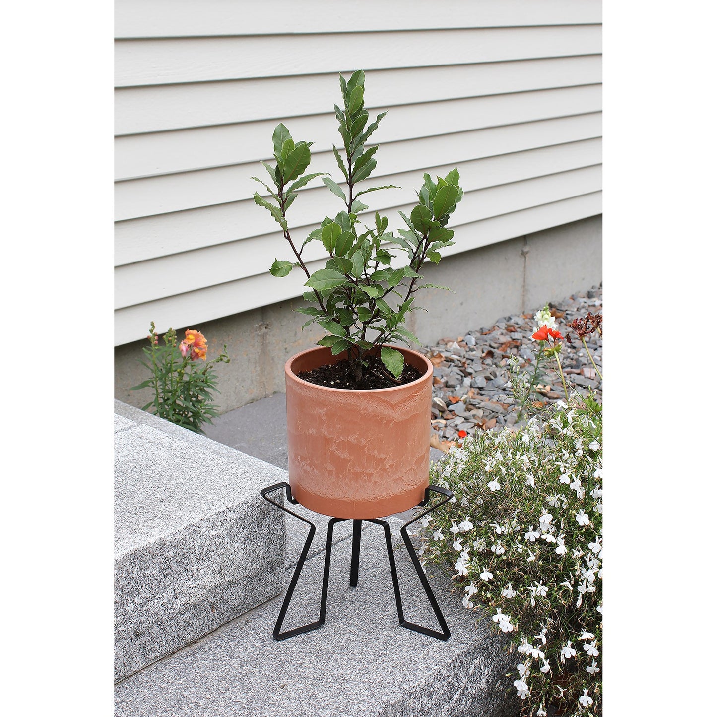 ACHLA Florence Plant Stand | Wrought Iron Black Powdercoat | Indoor & Outdoor Tabletop Planter | 9 x 10 x 15 in | Model FB-63