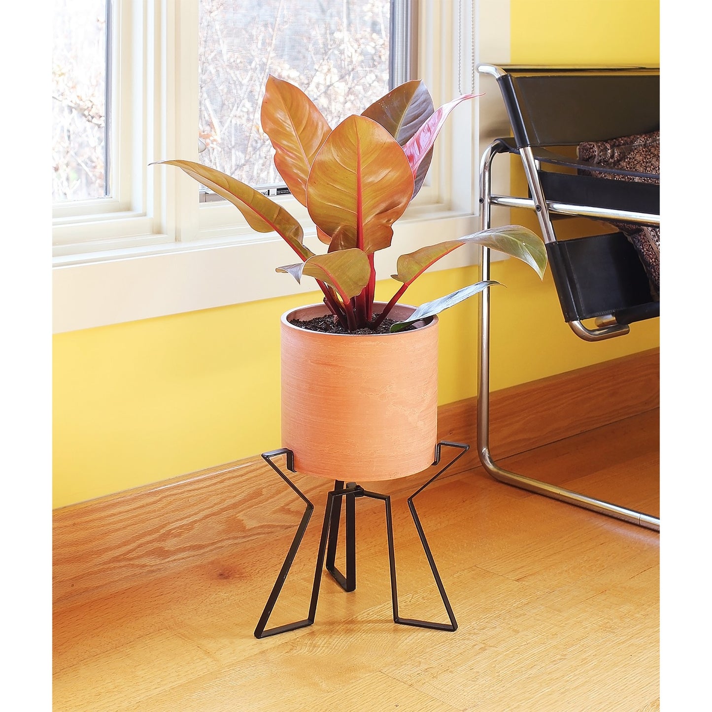 ACHLA Florence Plant Stand | Wrought Iron Black Powdercoat | Indoor & Outdoor Tabletop Planter | 9 x 10 x 15 in | Model FB-63