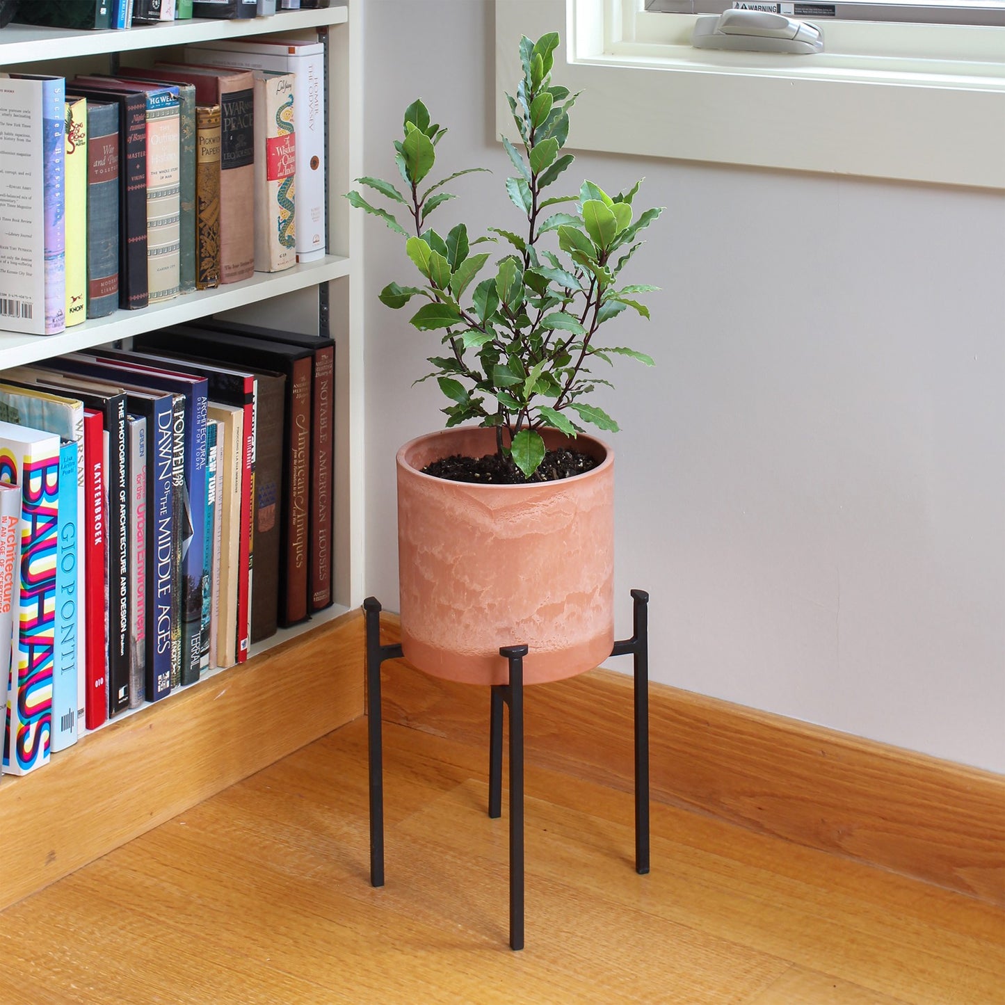 ACHLA Eileen 15in Plant Stand | Black Powdercoat Wrought Iron | Indoor & Outdoor Floor Planter | 10 x 10 x 15 in | Model FB-64