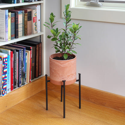 ACHLA Eileen 15in Plant Stand | Black Powdercoat Wrought Iron | Indoor & Outdoor Floor Planter | 10 x 10 x 15 in | Model FB-64