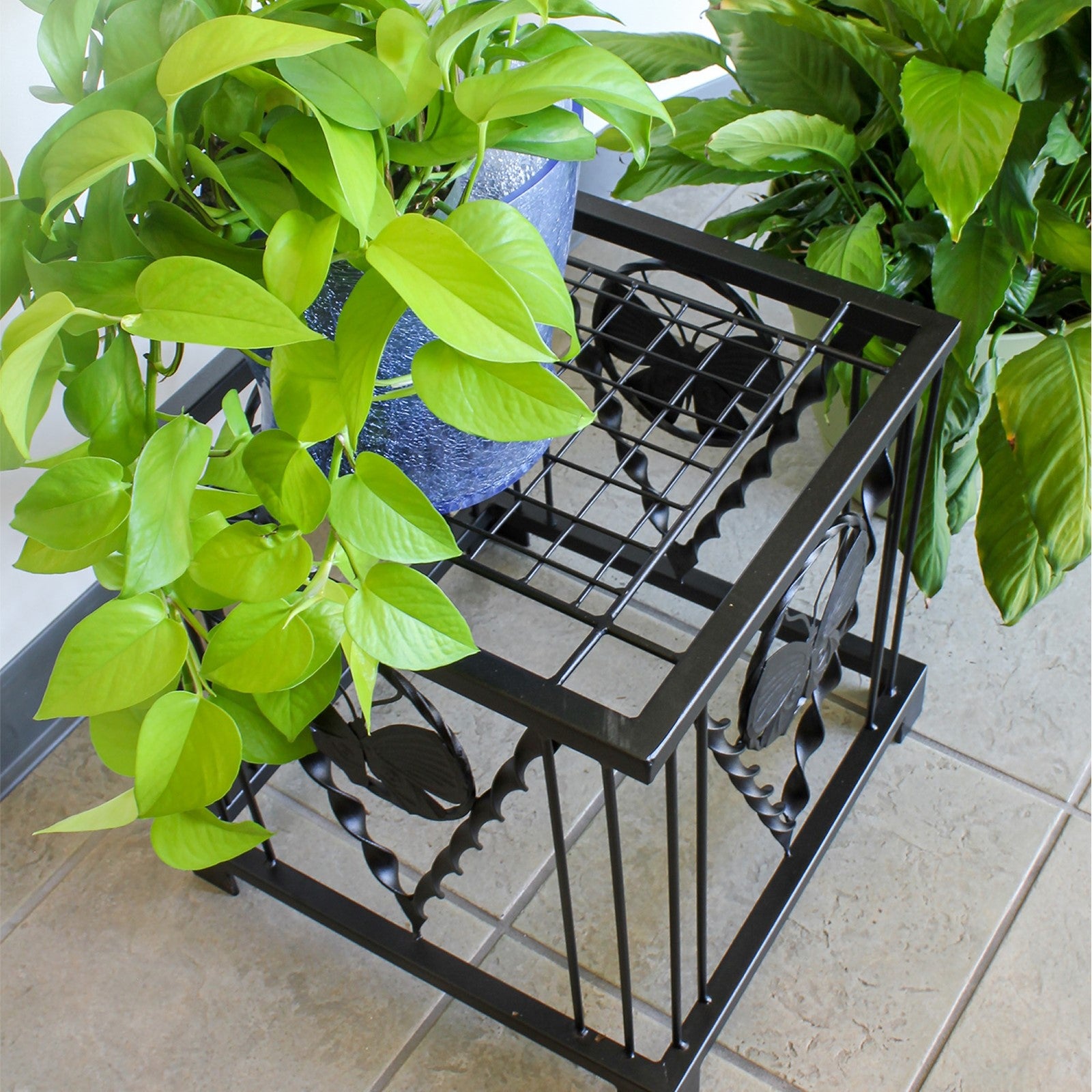 ACHLA Julia Plant Stand | Craftsman Wrought Iron Black Powdercoat | Indoor & Outdoor Plant Display | 16 x 16 x 16 in | Model FB-65