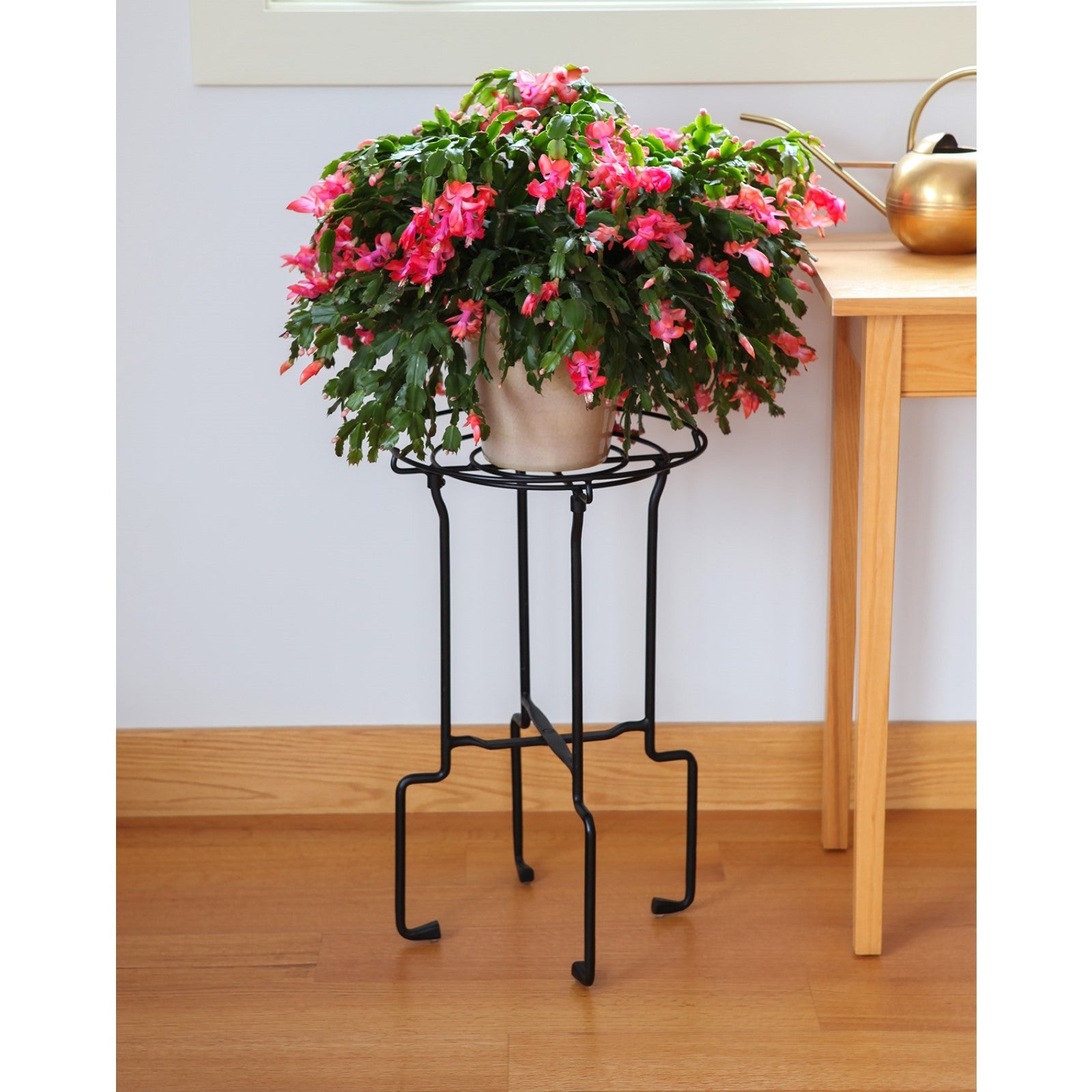 ACHLA Catalina Plant Stand | Black Wrought Iron | Indoor & Outdoor Planter Stand | 14 x 14 x 24 in | Model FB-76