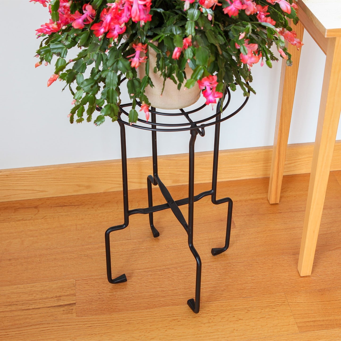 ACHLA Catalina Plant Stand | Black Wrought Iron | Indoor & Outdoor Planter Stand | 14 x 14 x 24 in | Model FB-76