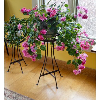 ACHLA Tara 24in Plant Stand | Roman Bronze Wrought Iron | Indoor & Outdoor Patio Decor | 11 x 11 x 24 in | Model FB-83