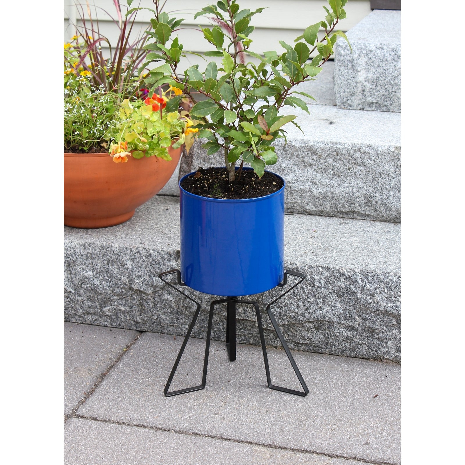 ACHLA Florence Planter with Bowl, French Blue 9in | Wrought Iron Tabletop & Floor Plant Stand | Indoor & Outdoor Container Garden | Model FBC-63-62FB