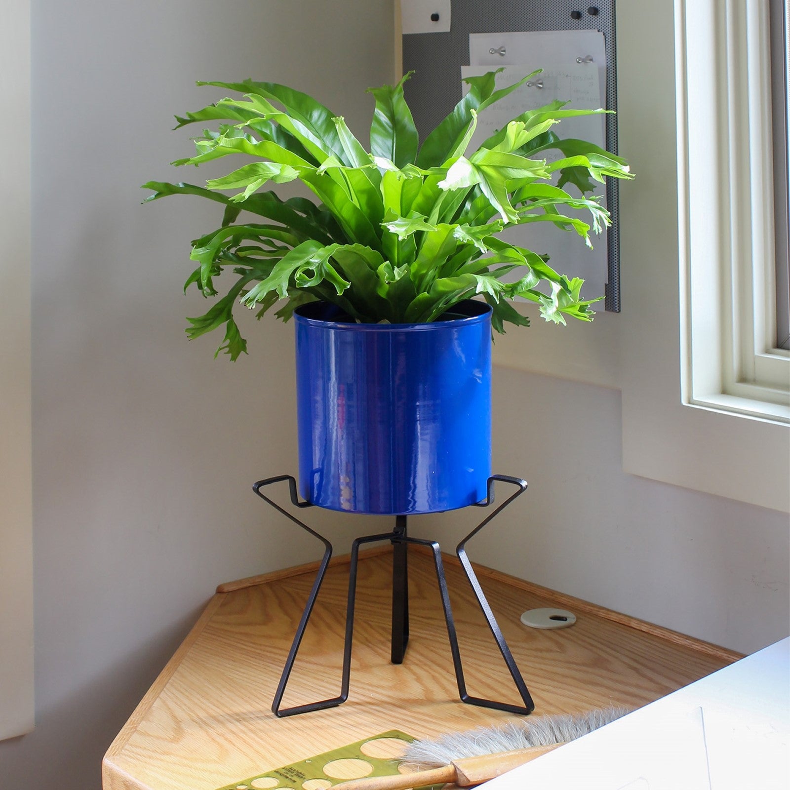 ACHLA Florence Planter with Bowl, French Blue 9in | Wrought Iron Tabletop & Floor Plant Stand | Indoor & Outdoor Container Garden | Model FBC-63-62FB