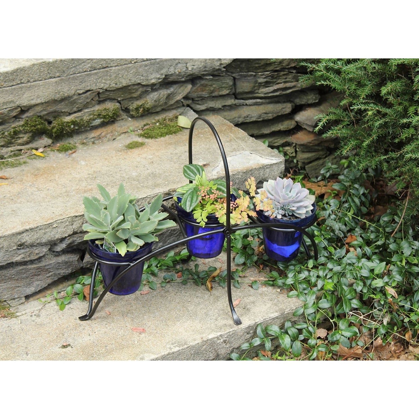 ACHLA Herb Caddy 22in | Wrought Iron Black Powder Coated | Kitchen Counter & Patio Table Herb Planter | 22 x 10.25 x 16.75 in | Model FC-01