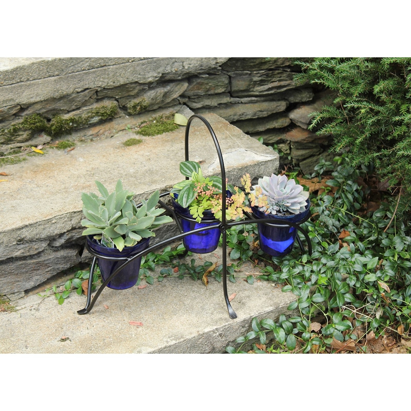 ACHLA Herb Caddy 22in | Wrought Iron Black Powder Coated | Kitchen Counter & Patio Table Herb Planter | 22 x 10.25 x 16.75 in | Model FC-01