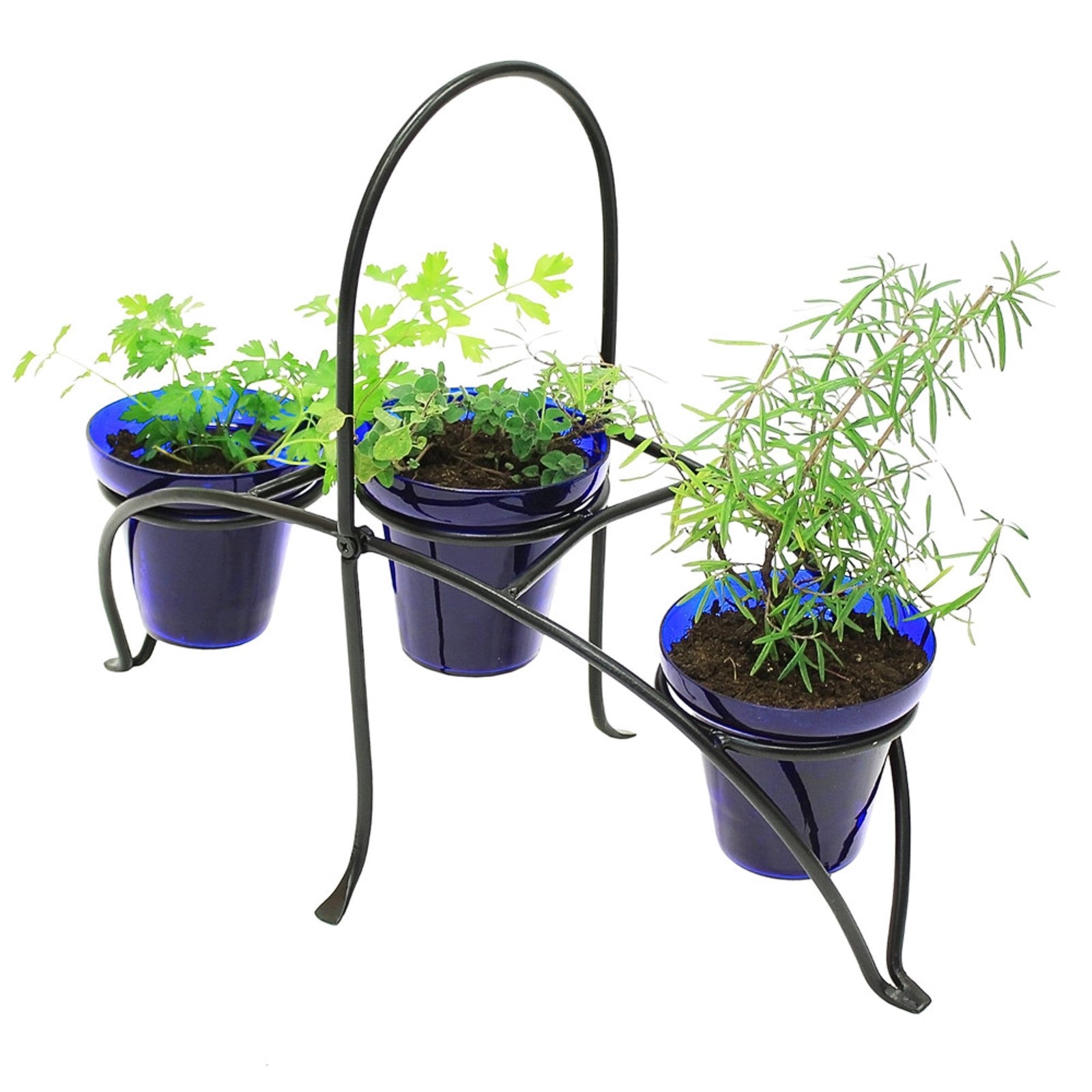 ACHLA Herb Caddy 22in | Wrought Iron Black Powder Coated | Kitchen Counter & Patio Table Herb Planter | 22 x 10.25 x 16.75 in | Model FC-01