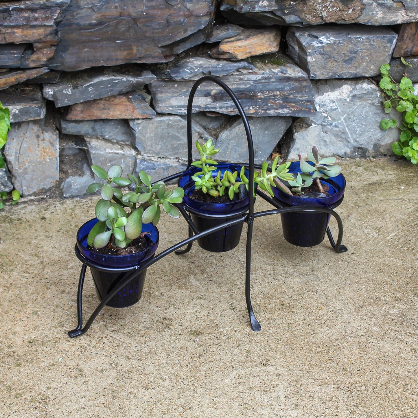 ACHLA Herb Caddy 22in | Wrought Iron Black Powder Coated | Kitchen Counter & Patio Table Herb Planter | 22 x 10.25 x 16.75 in | Model FC-01
